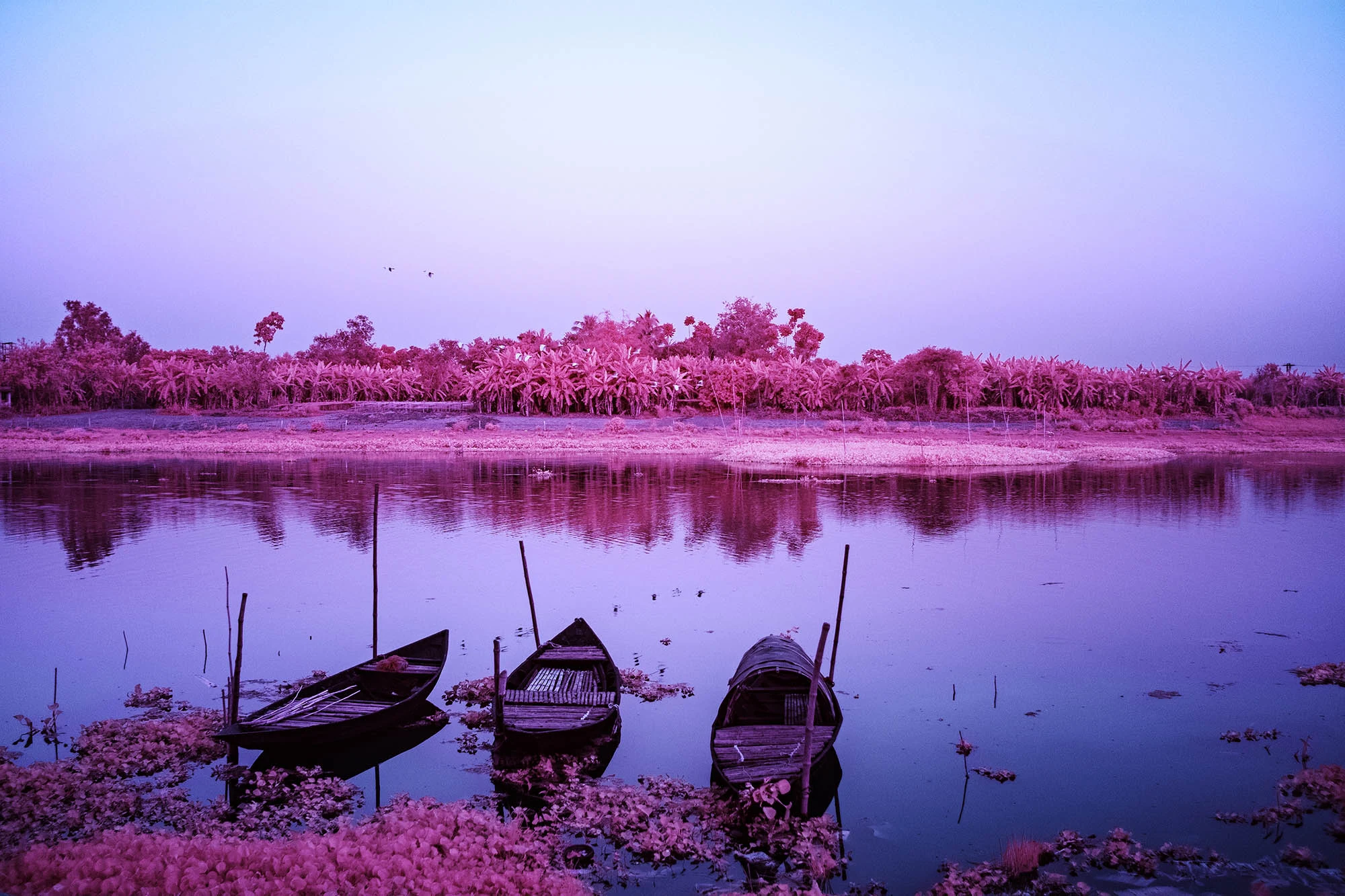 Boote am Jalangi-Fluss im violetten Infrarotlicht