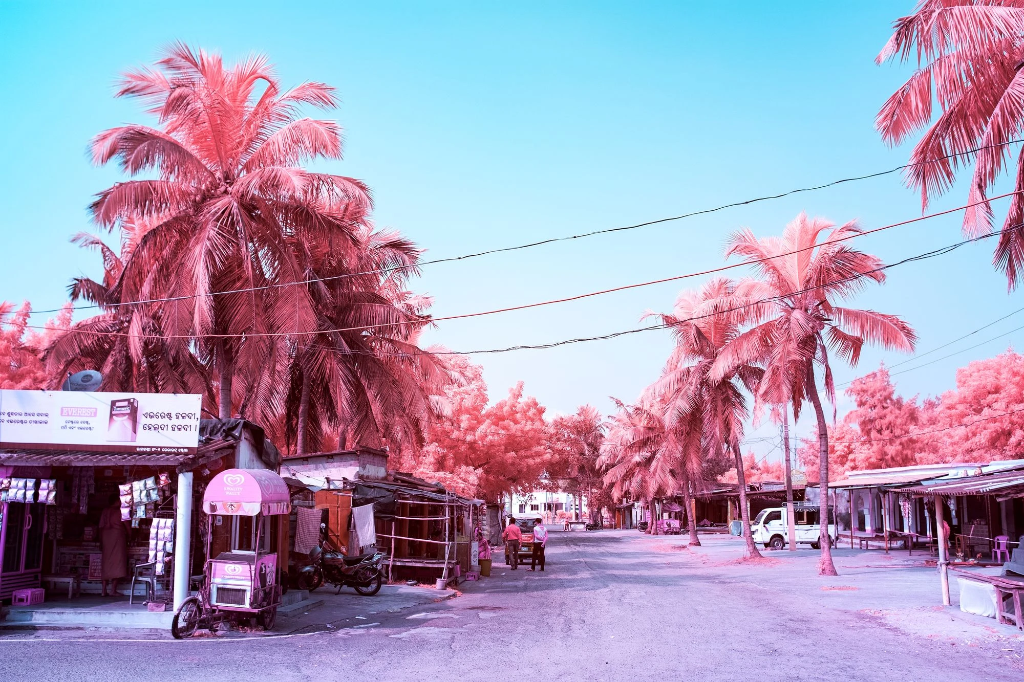 The Forgotten Oasis