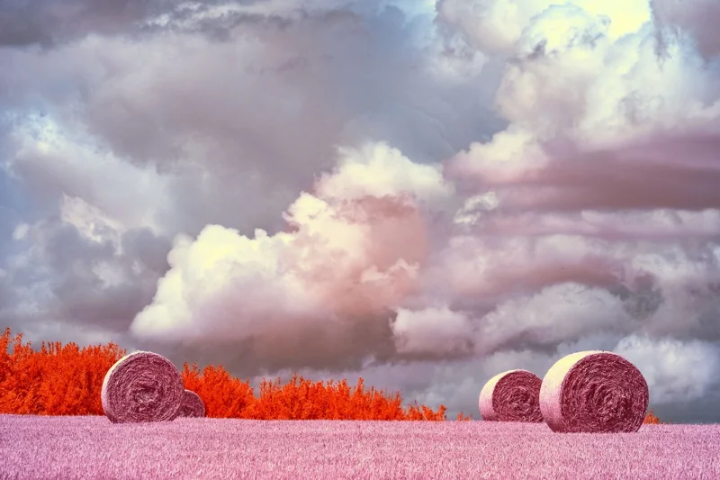 Saxon Hay Bales