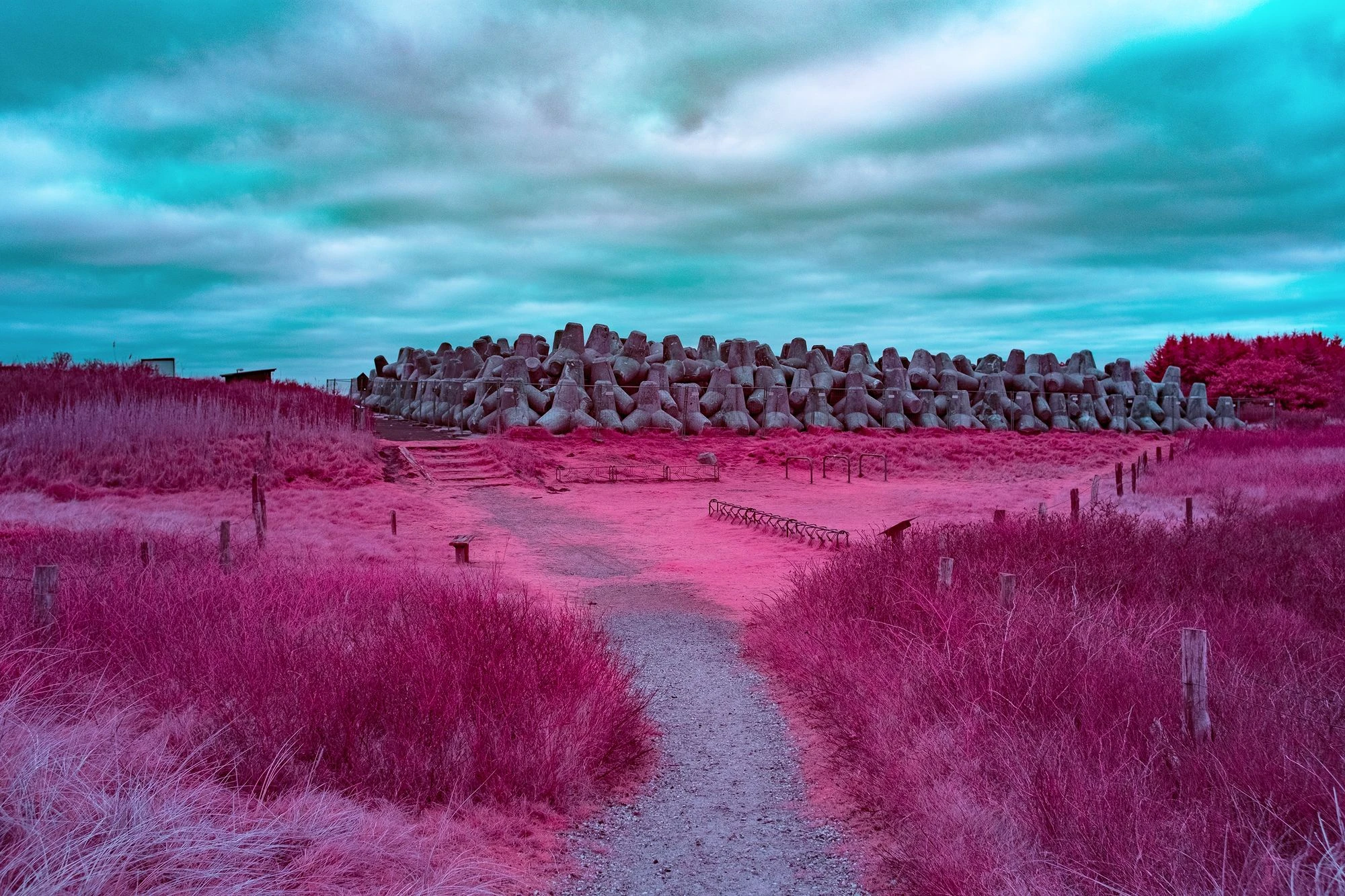 Tetrapods on the island of Sylt