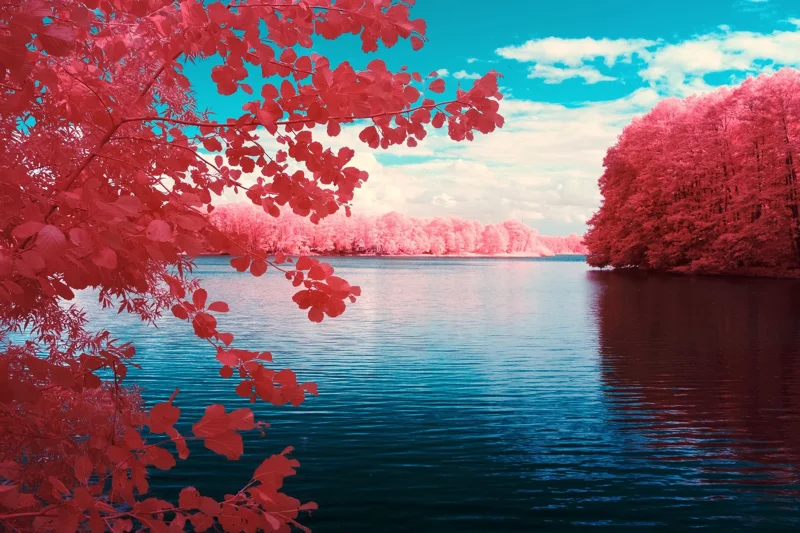 Offset Nature