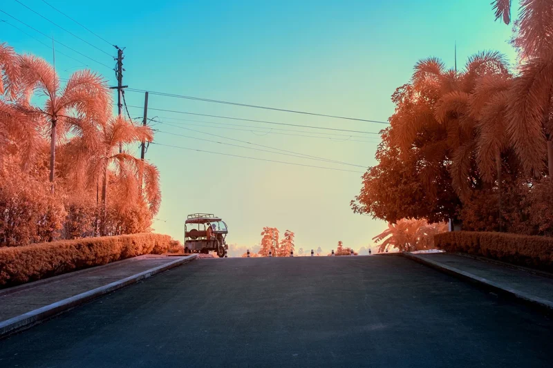 Rickshaw - Gaura Village