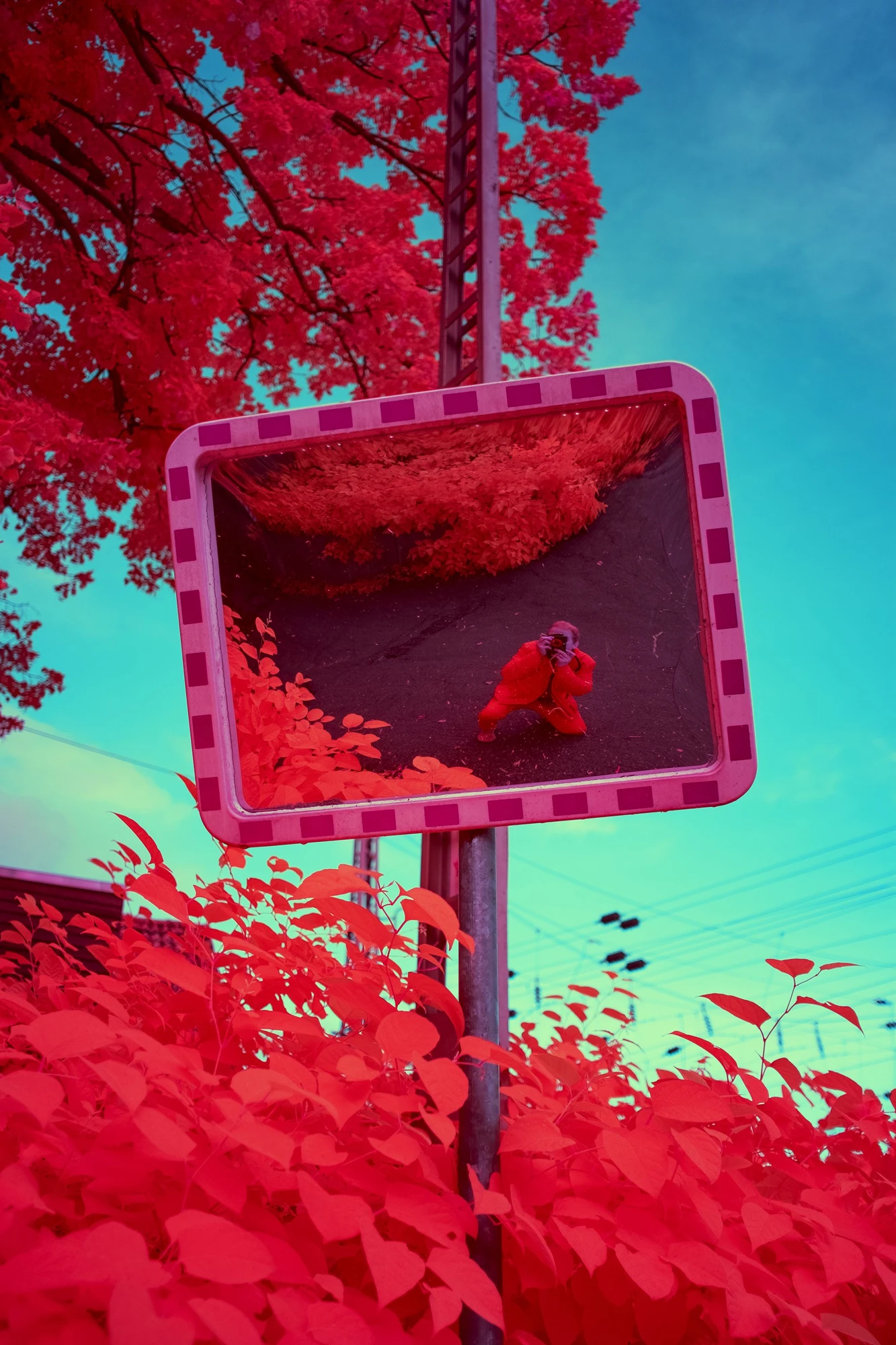 Signal of the Self
