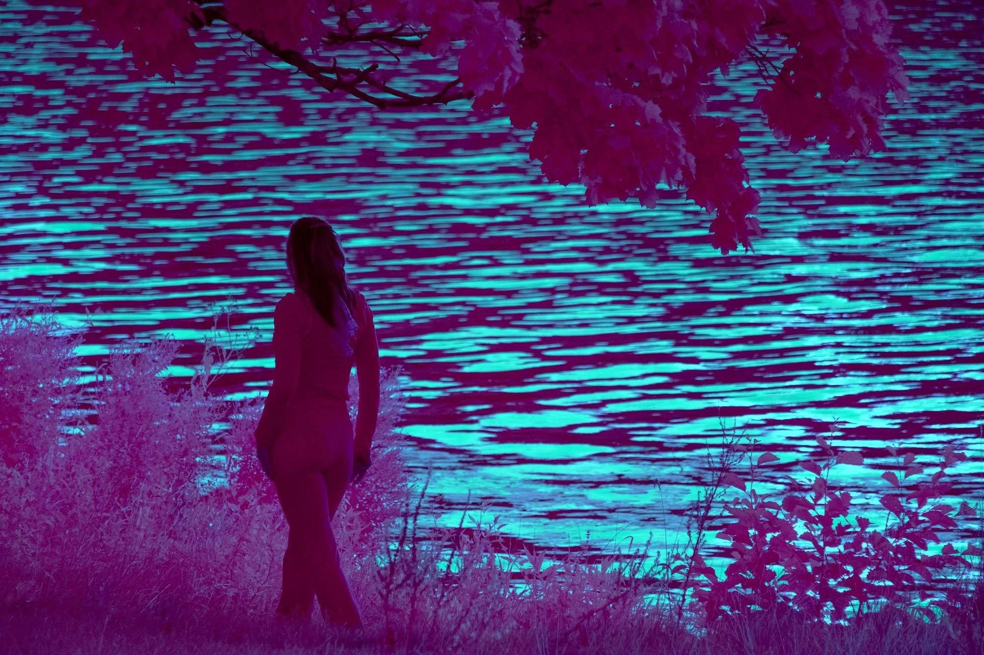 Sacrow Waters – The Artist