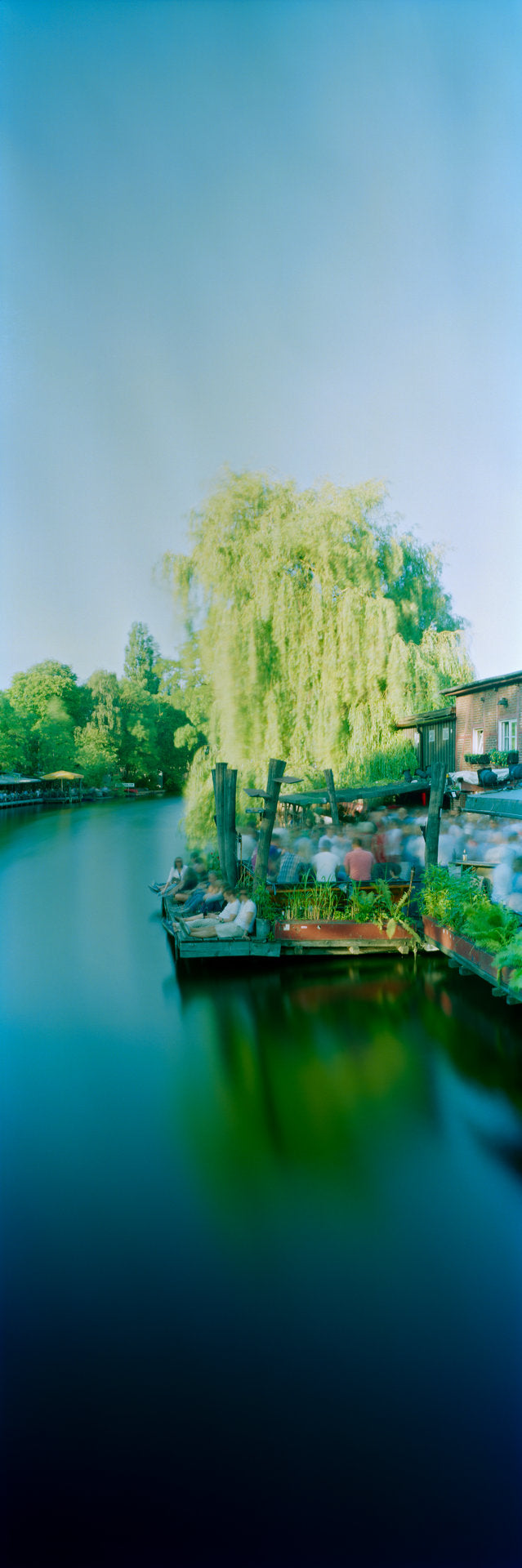 Photographie d’art d’André Wagner: Une large couronne d’arbre claire surplombe une étroite zone de rive — After Hour.