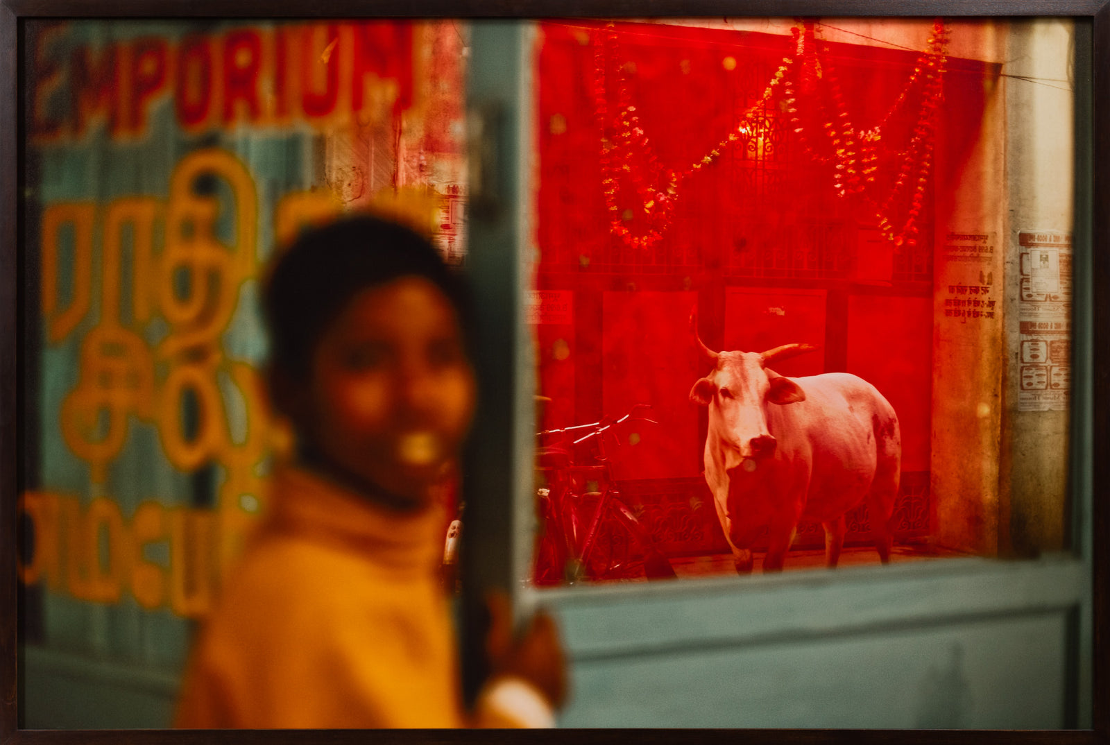 Fine art photography by André Wagner: Benares cow, Indien.