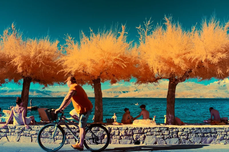 Photographie d’art infrarouge d’André Wagner: Beneath Brac’s Golden Trees.
