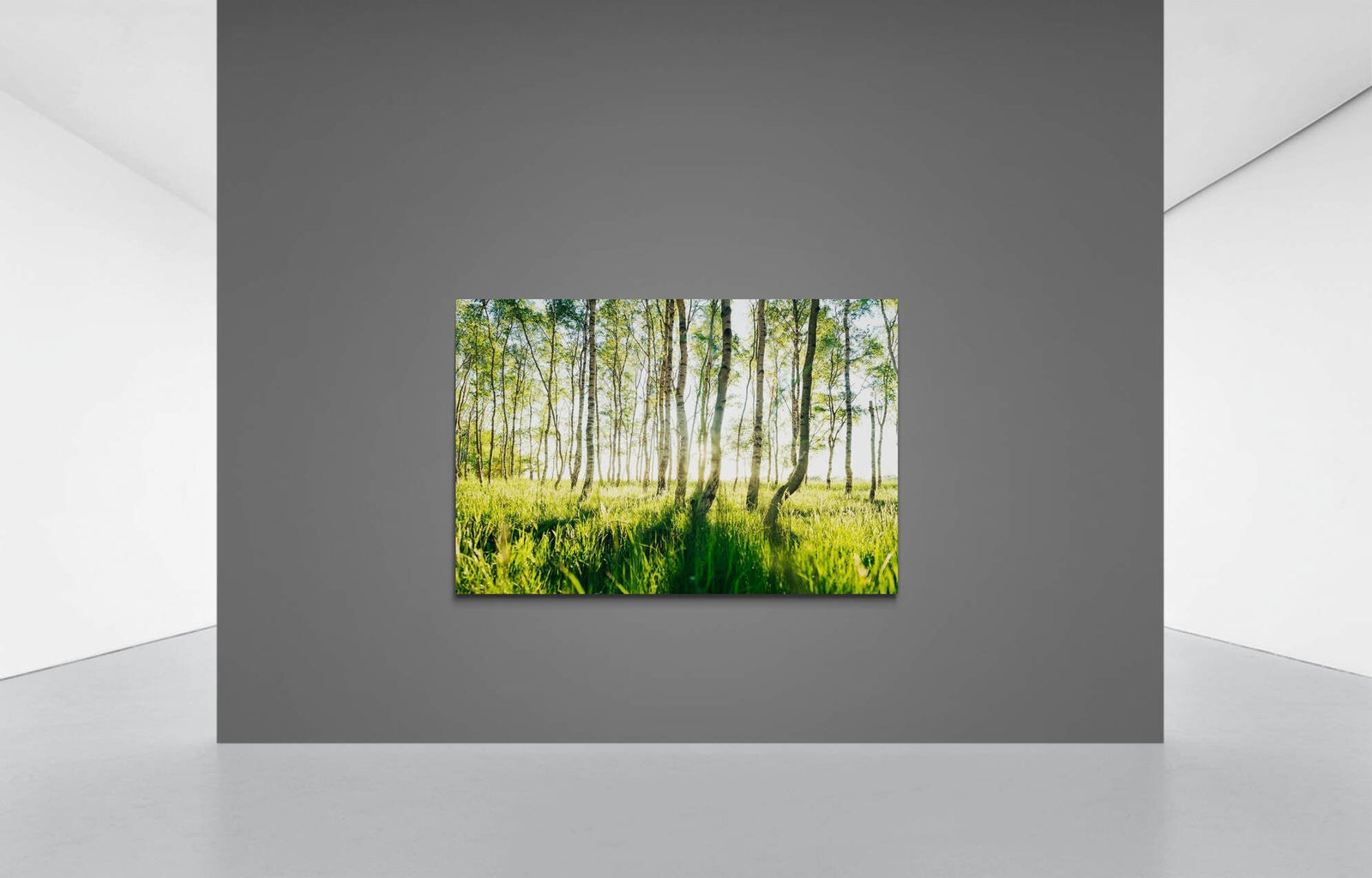 Visualisation d’intérieur avec l’œuvre photographique « Birkenwald auf der insel rügen, Deutschland » d’André Wagner ; il ne s’agit pas d’une installation photographiée.