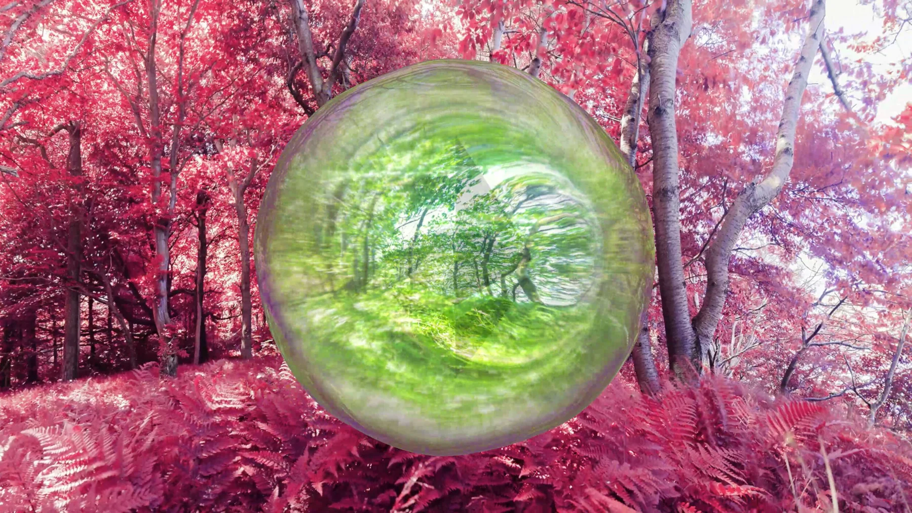 Bubble of Reality (copie)