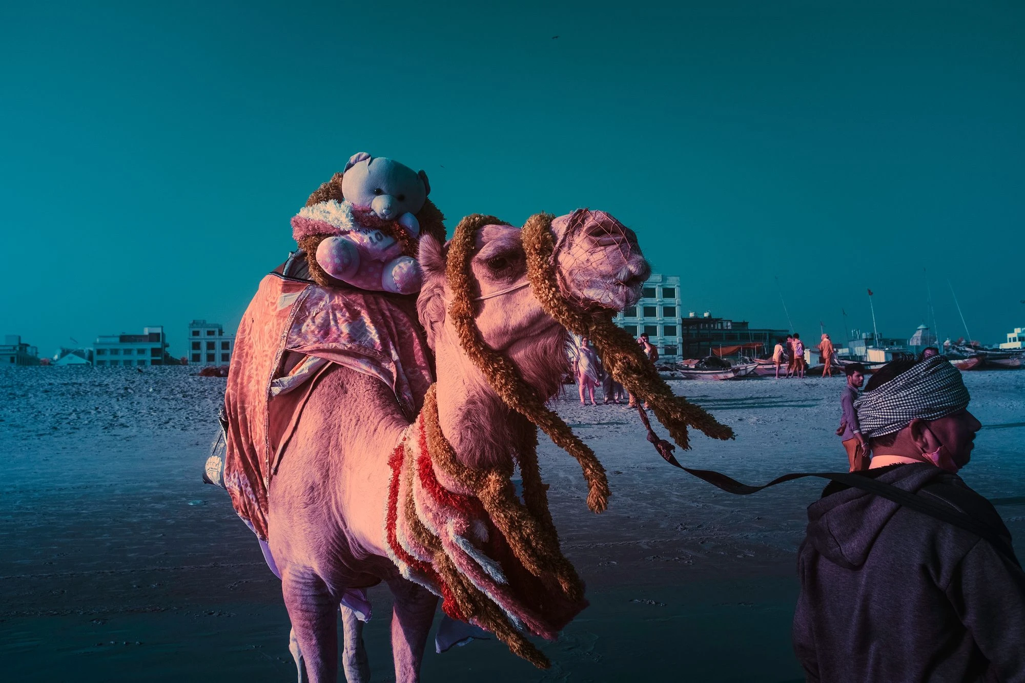 Photographie d’art infrarouge d’André Wagner: Le chameau occupe la moitié droite de l’image et tourne la tête de côté — Camel of Childhood.