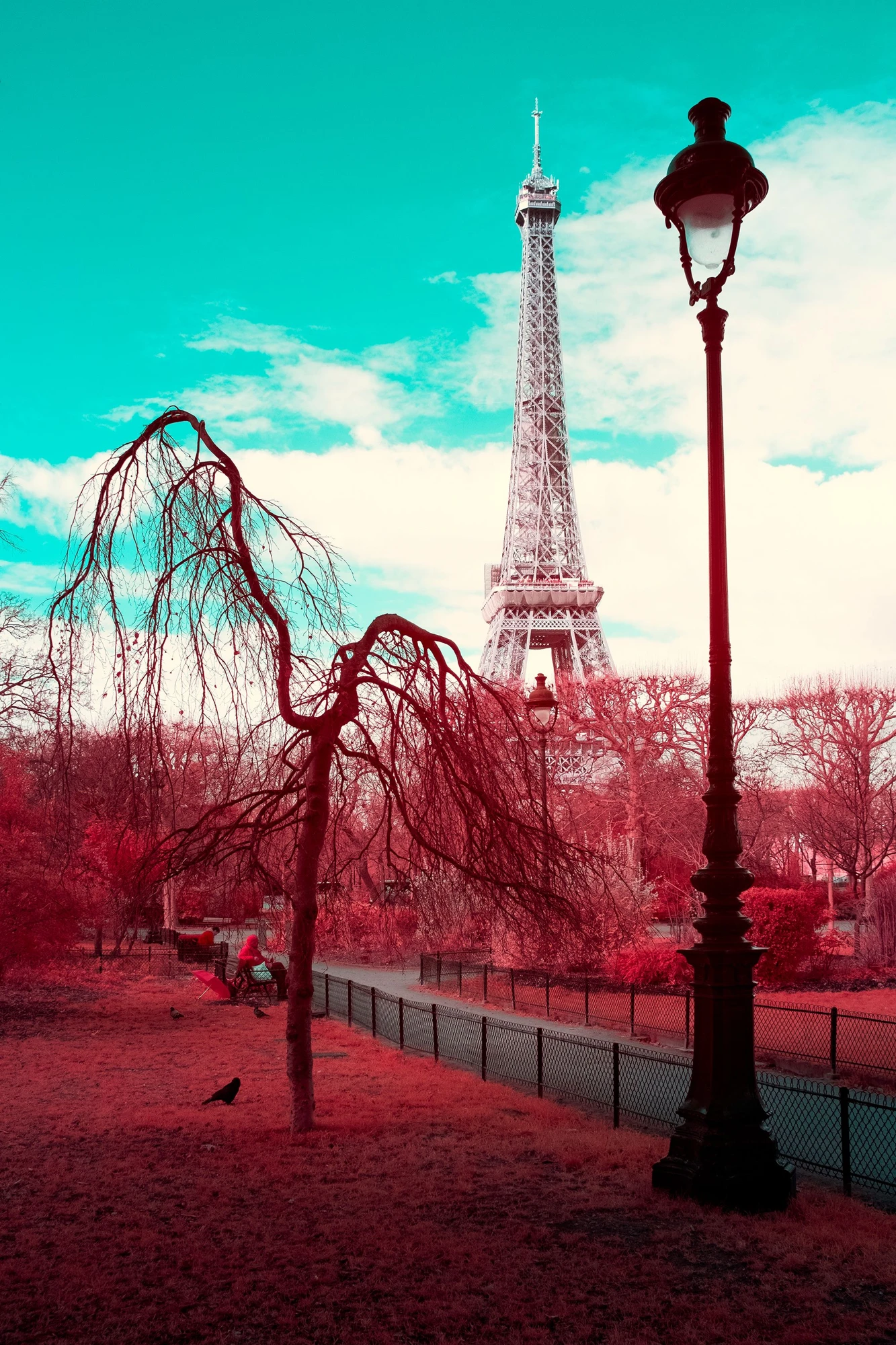 Infrared fine art photography by Andr&eacute; Wagner: Champ de Mars: L&rsquo;&Acirc;me d&rsquo;un Arbre, le Chant d&rsquo;un Oiseau.