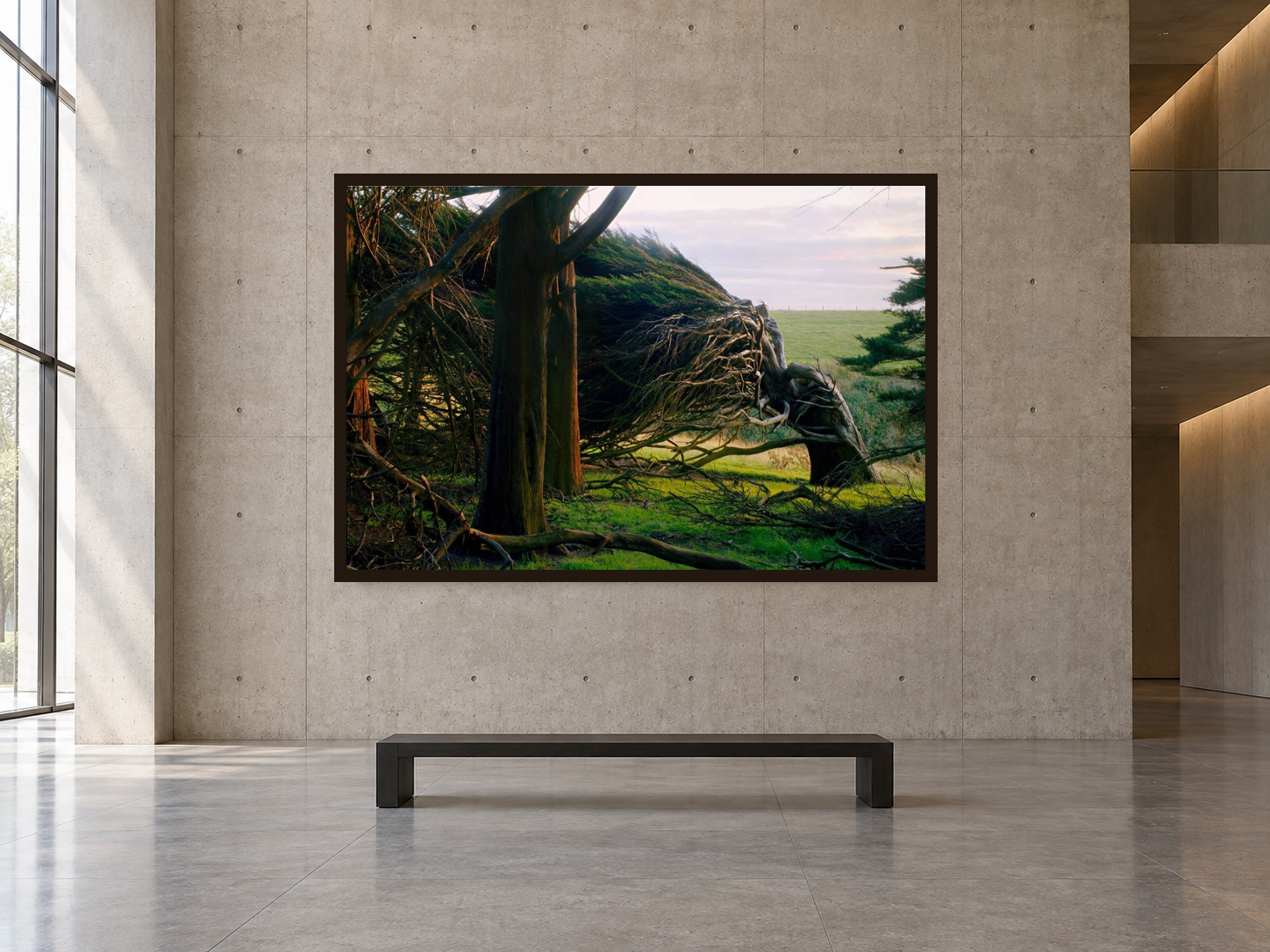 Visualisation d’intérieur avec l’œuvre photographique « Fight 2, Neuseeland » d’André Wagner ; il ne s’agit pas d’une installation photographiée.