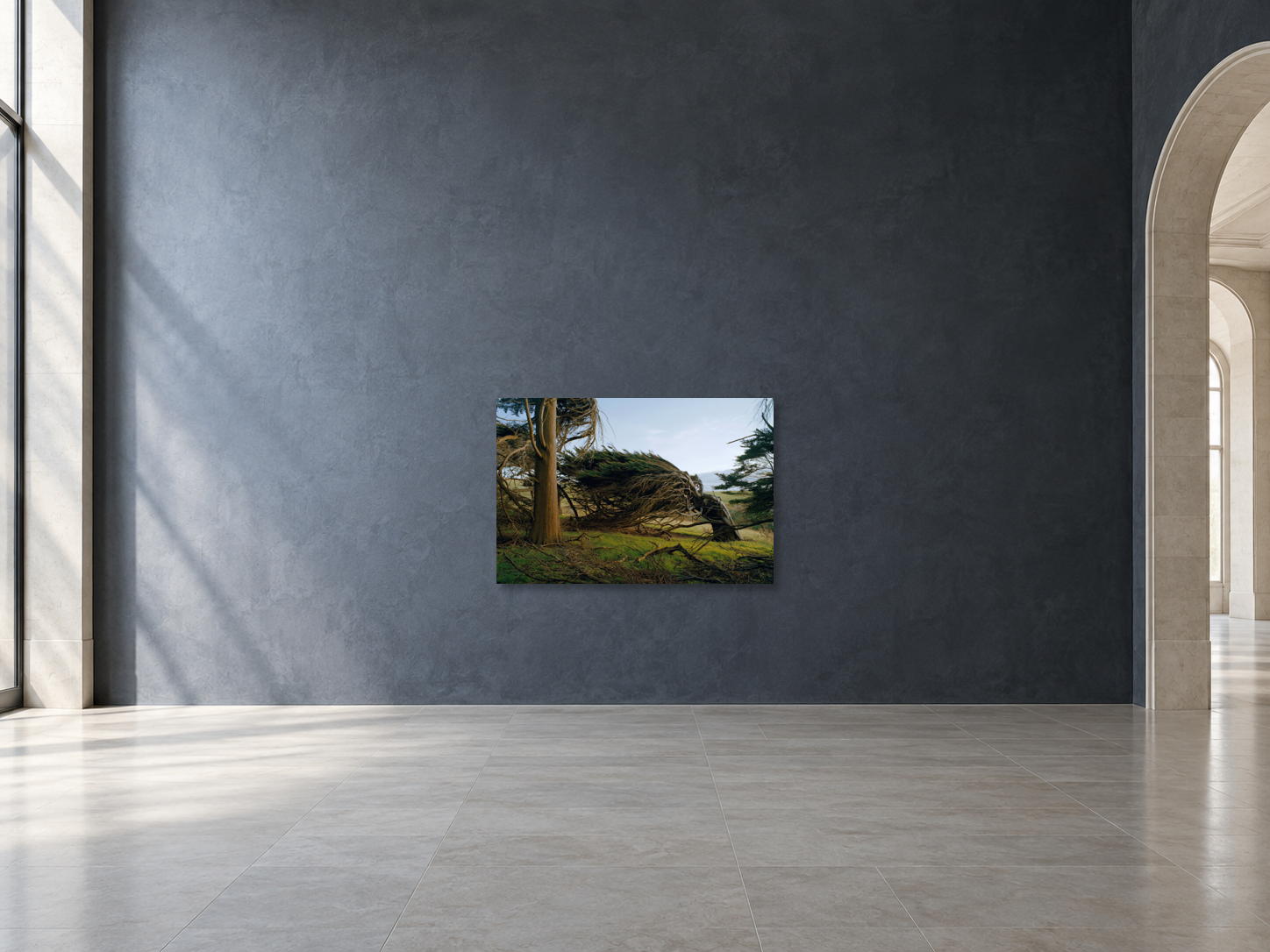 Visualisation d’intérieur avec l’œuvre photographique « Fight, Neuseeland » d’André Wagner ; il ne s’agit pas d’une installation photographiée.