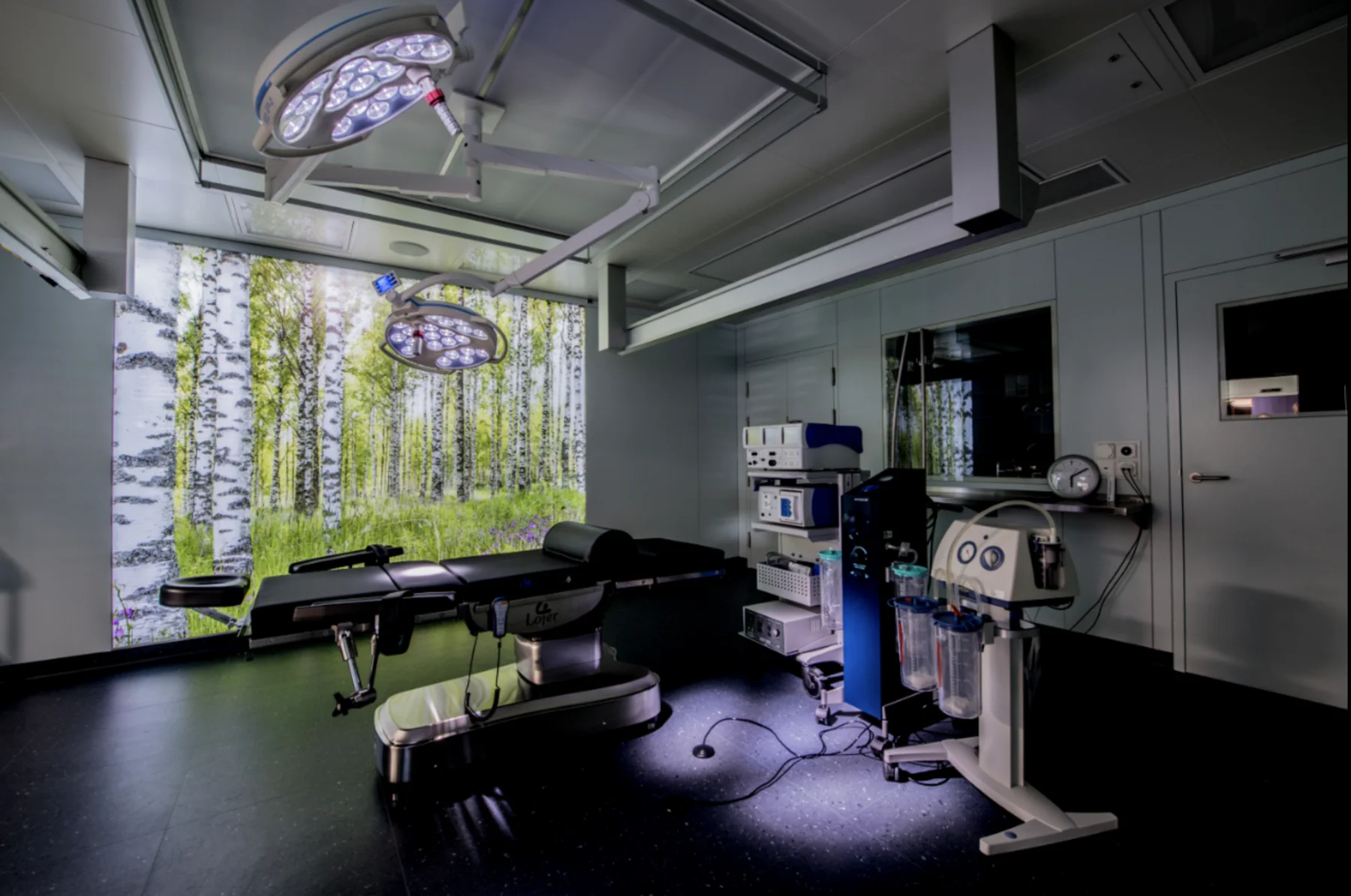 Photographic artwork of a birch forest in an operating room