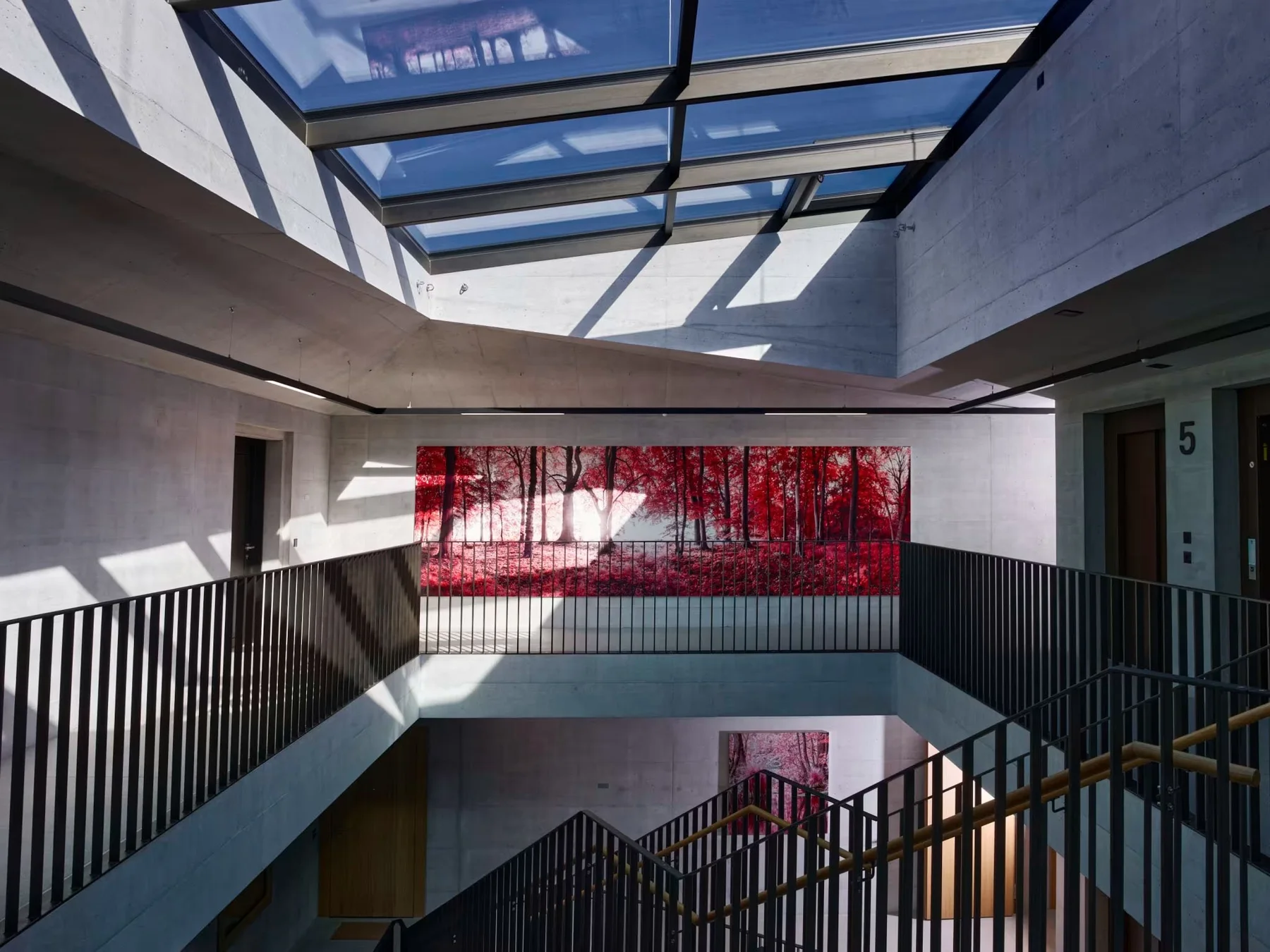 Œuvre photographique de forêt rouge dans une cage d’escalier sous une verrière