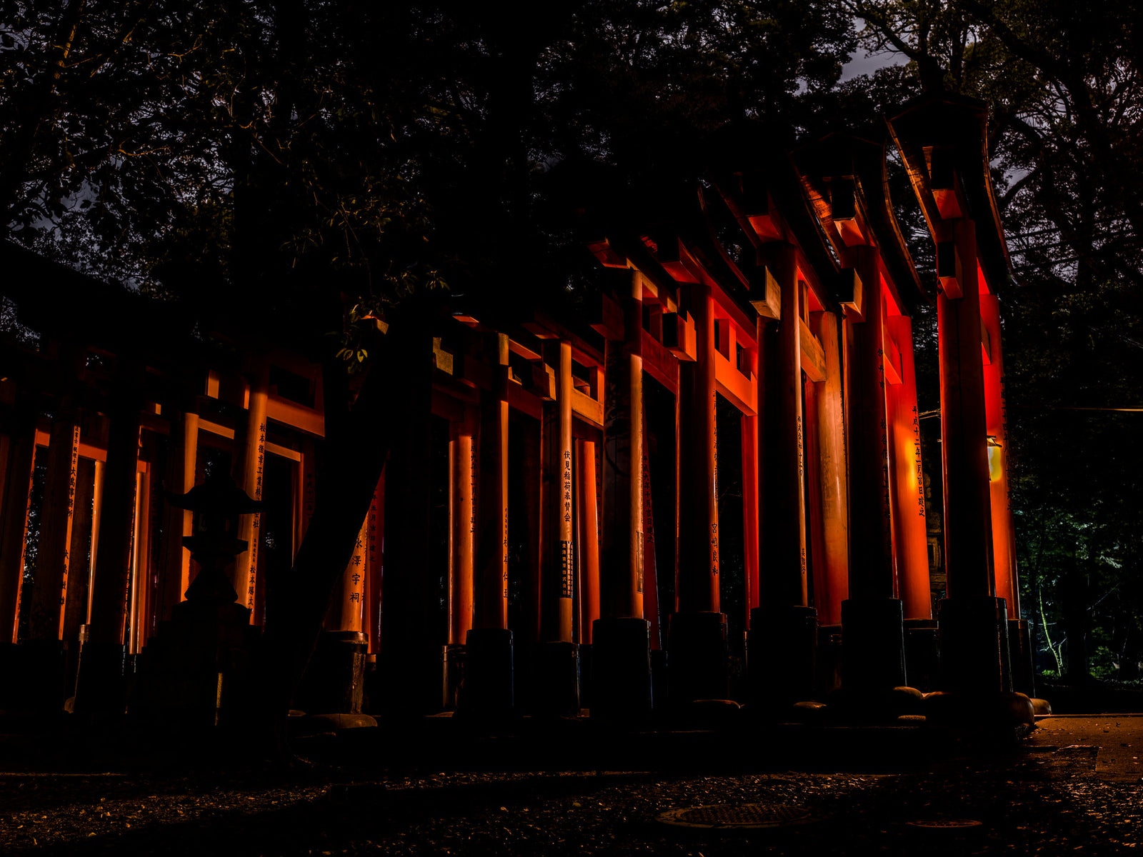 Photographie d’art d’André Wagner: Une succession de portiques rouges traverse en diagonale un paysage d’arbres sombres — Fushimi Inari-Tasisha 2.