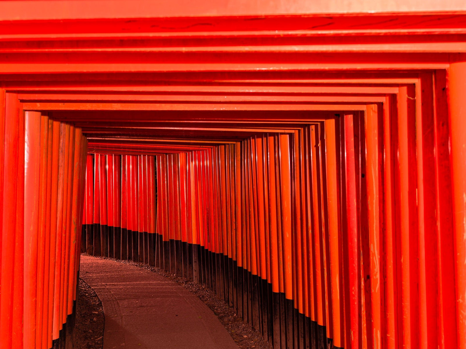 Photographie d’art d’André Wagner: Fushimi Inari-Tasisha 5, Japan.