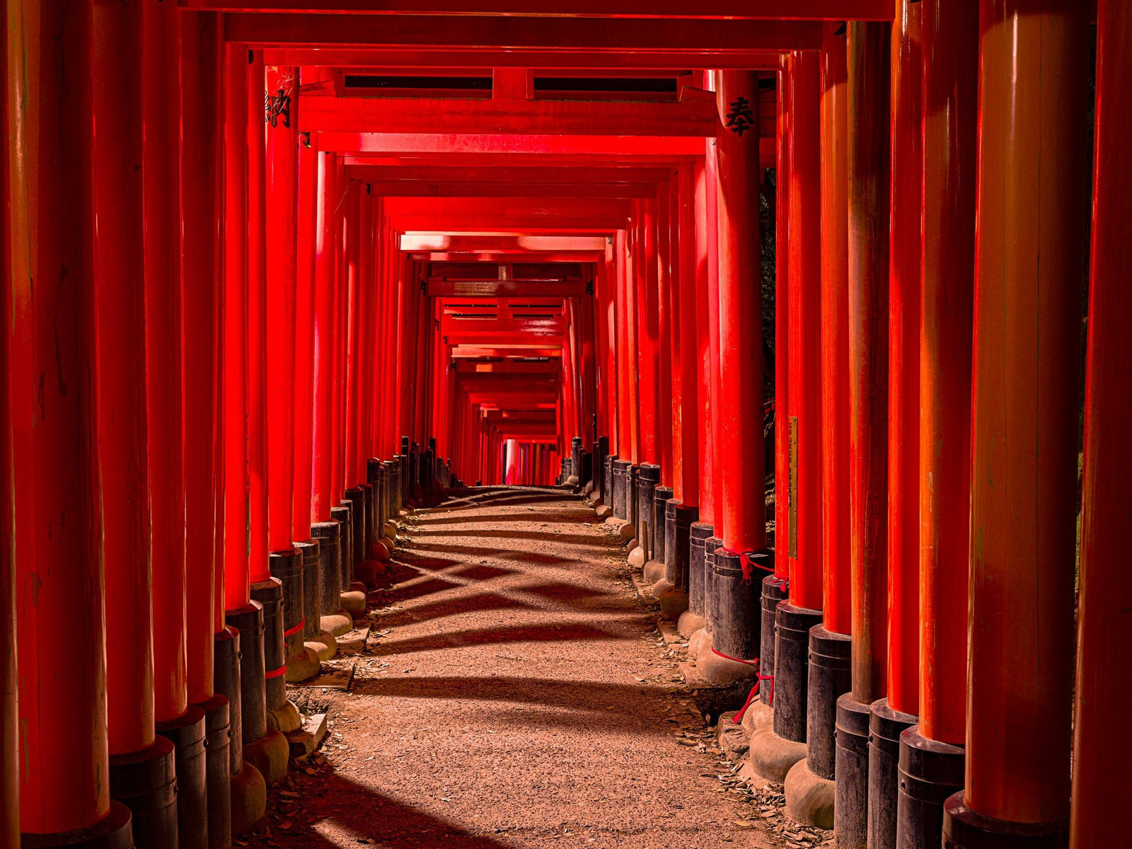 Photographie d’art d’André Wagner: Le regard traverse presque en ligne droite une longue succession de portes d’un rouge intense — Fushimi Inari-Tasisha 7, Japan.