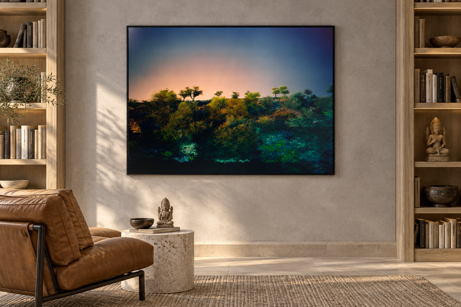 Visualisation d&rsquo;int&eacute;rieur avec l&rsquo;&oelig;uvre photographique &laquo; Govardhan hill, Indien &raquo; d&rsquo;Andr&eacute; Wagner ; il ne s&rsquo;agit pas d&rsquo;une installation photographi&eacute;e.