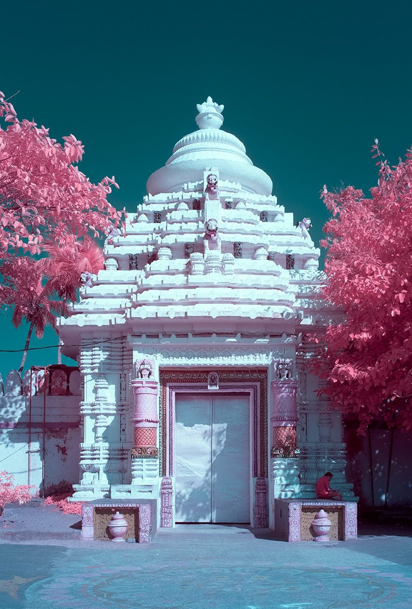 Photographie d’art infrarouge d’André Wagner: Une façade de temple claire se présente de face entre des couronnes d’arbres roses — GUNDICHA TEMPLE: THE GARDEN HOUSE OF LORD JAGANNATH, Indien.