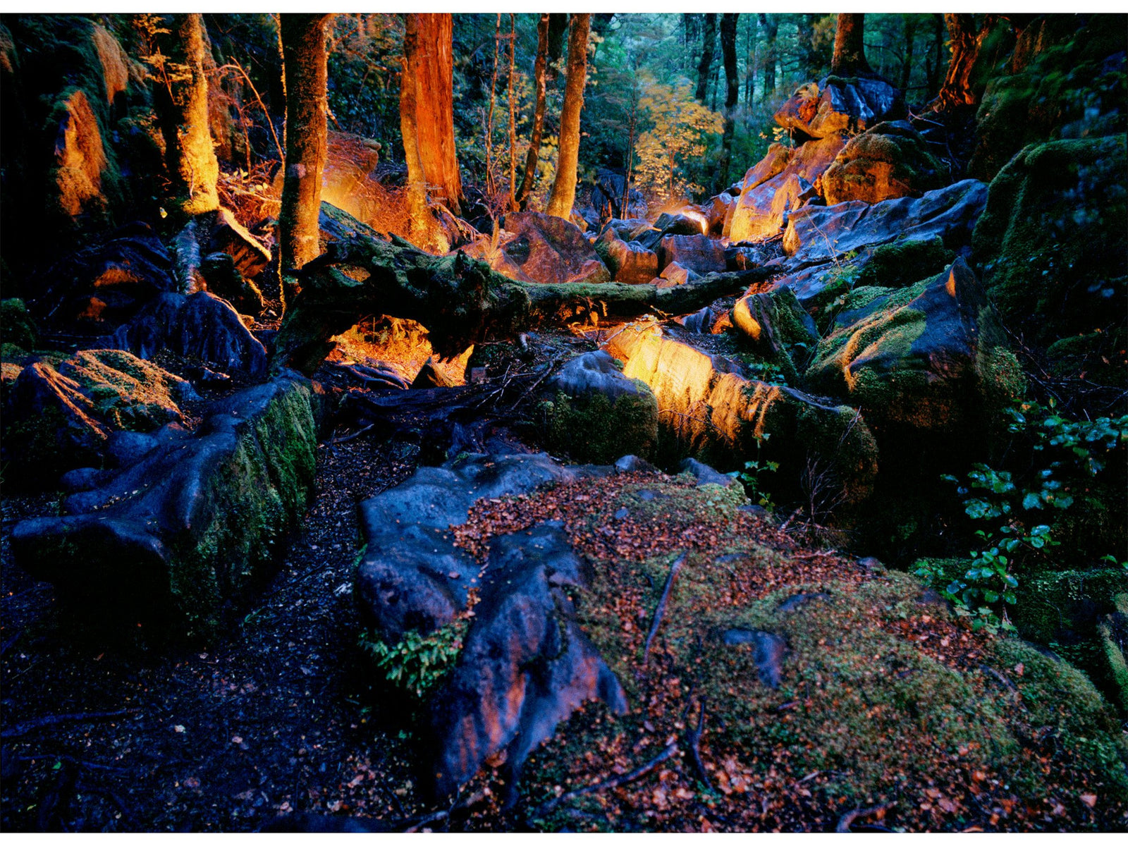 Fine art photography by Andr&eacute; Wagner: Harwood hole 2, Neuseeland.