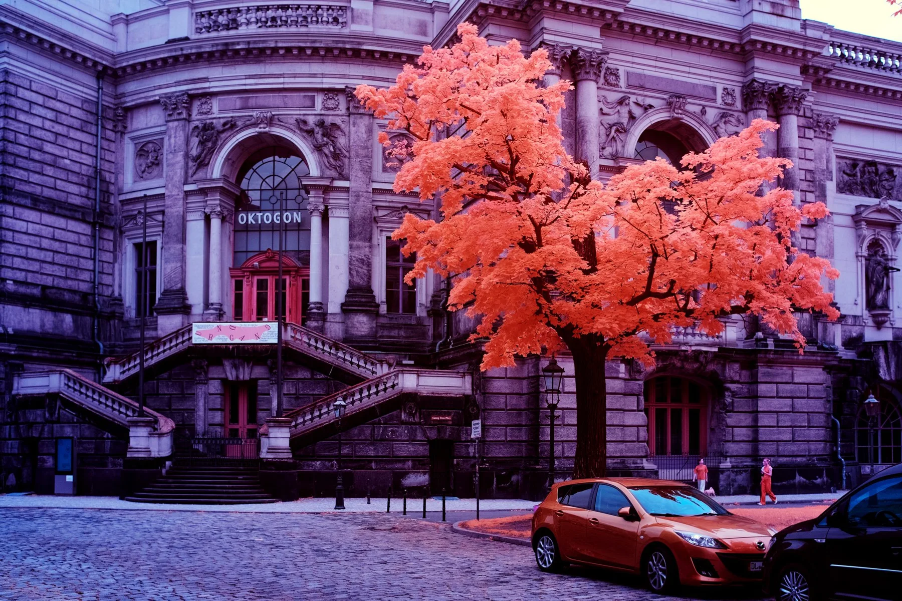Façade historique derrière des arbres orange.