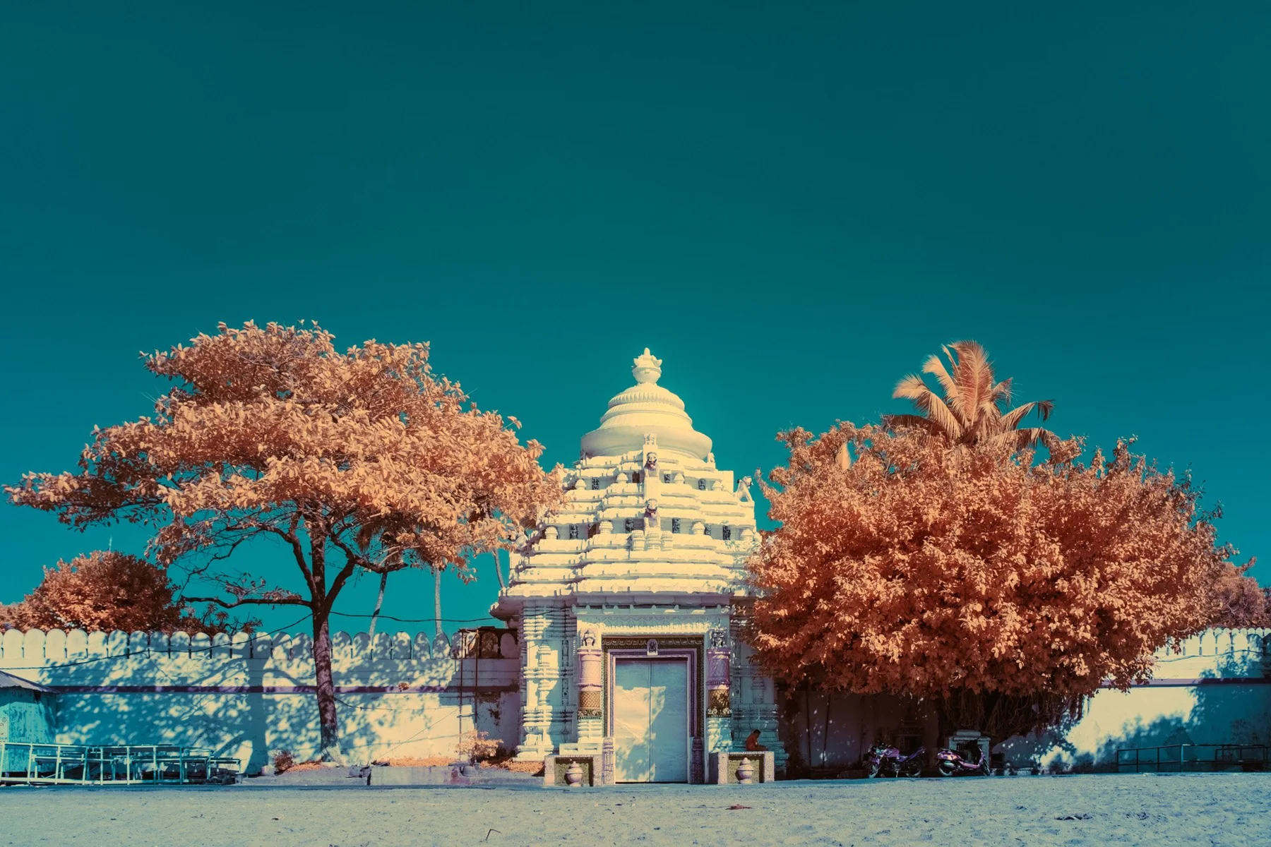 Infrared fine art photograph of a small temple between reddish trees