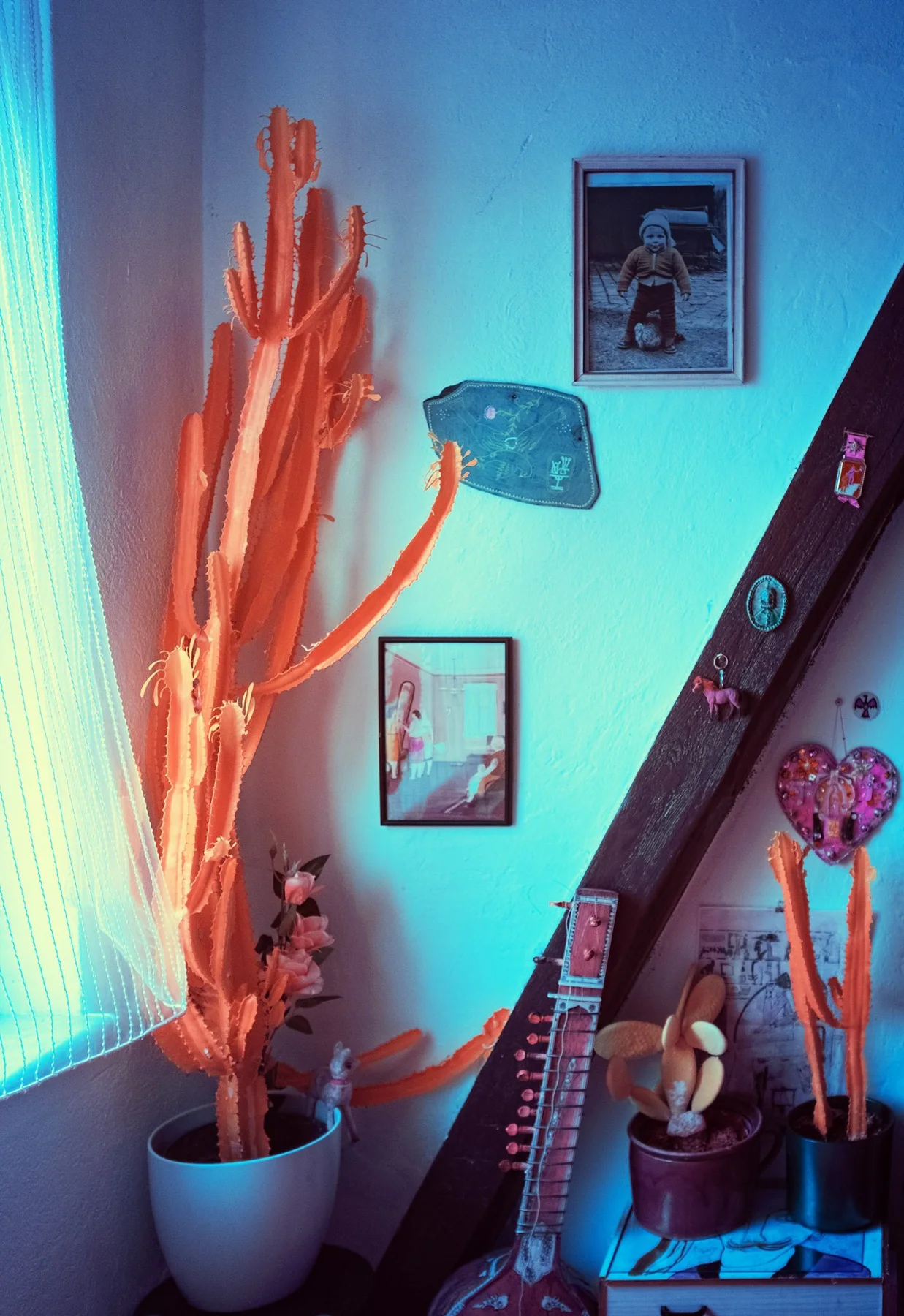 Cactus et guitare dans une pièce.