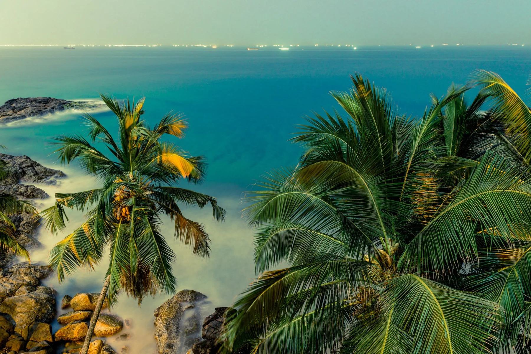 Landscape photograph with palm trees above a turquoise coast