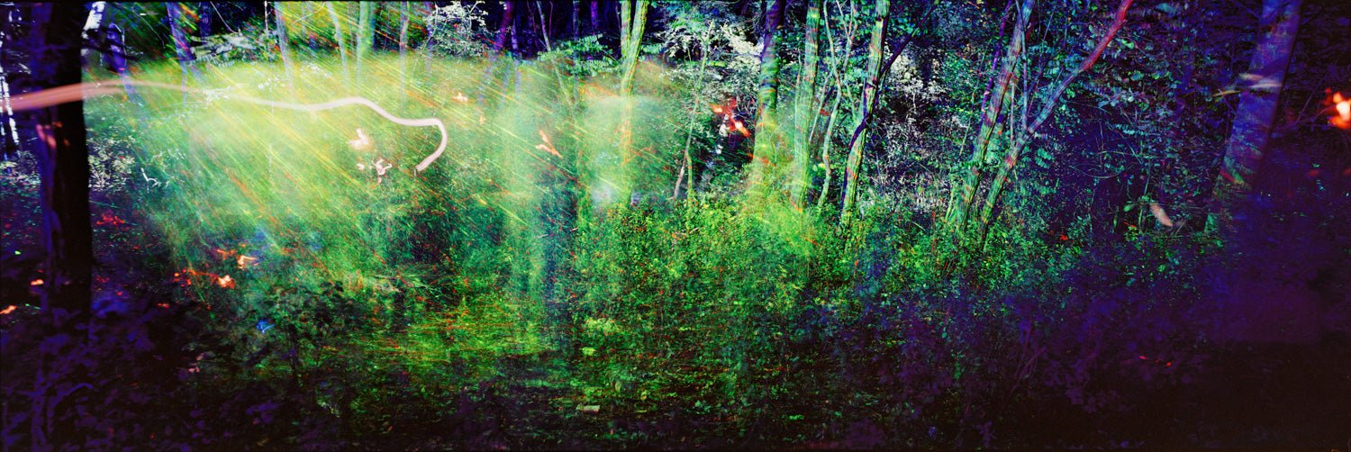 Fine art photography by André Wagner: Green, violet and blue light crosses a wide woodland panorama — Laser Forest, Deutschland.