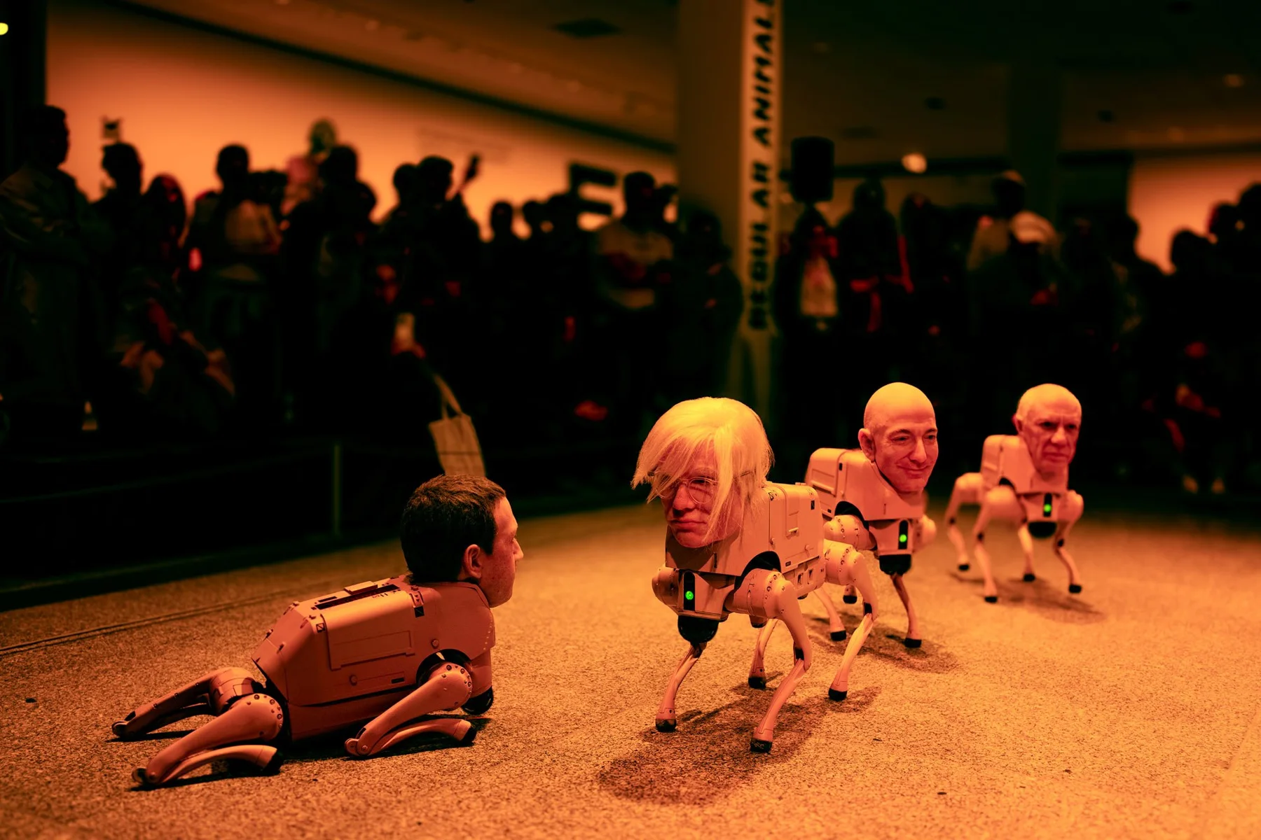 Plusieurs chiens robots à tête d’apparence humaine.
