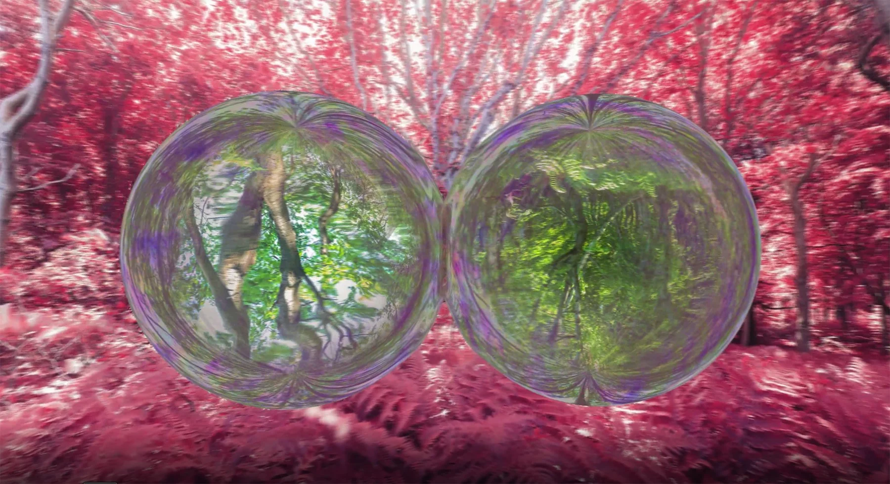 Merge Bubbles (copie)