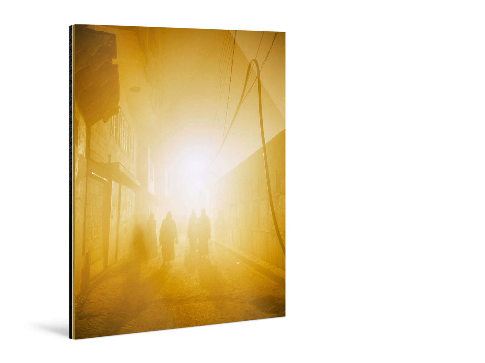 Additional view of the photographic artwork “Morning walk, Indien” by André Wagner.