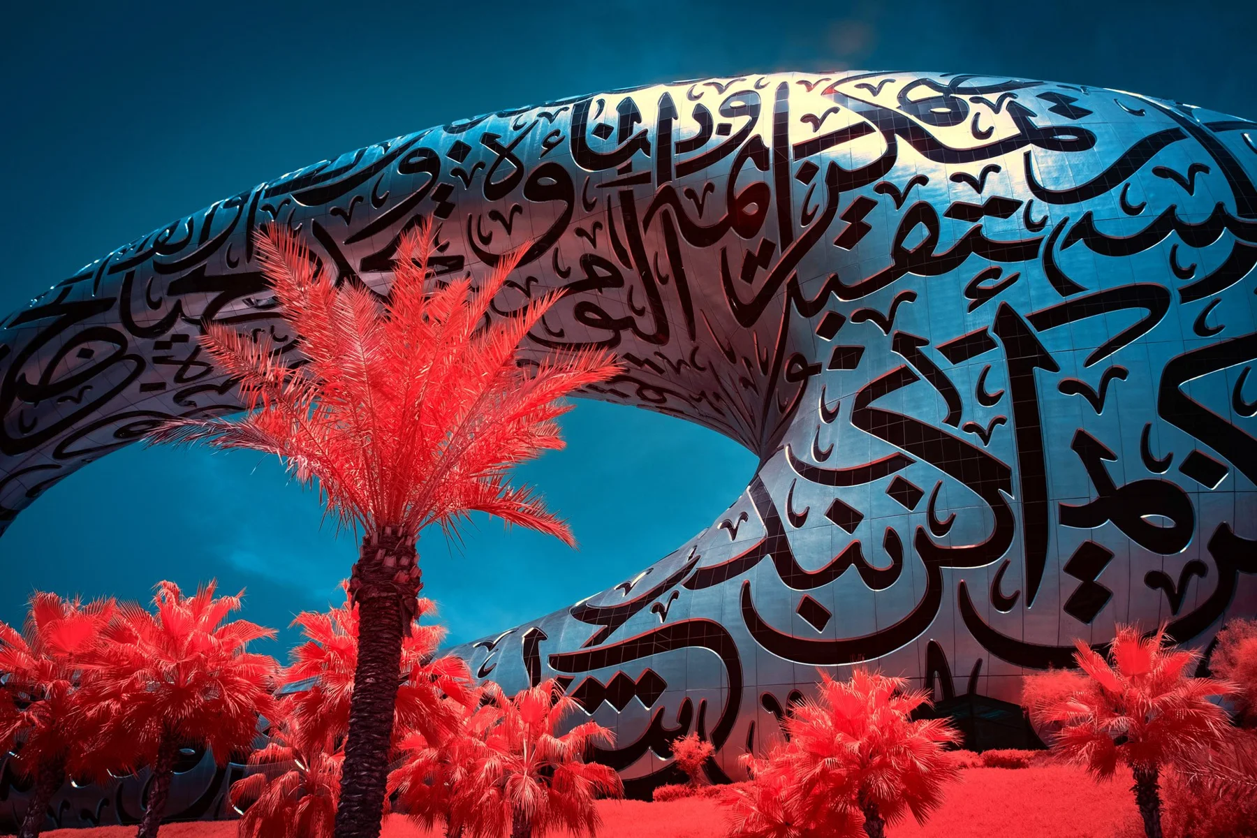 Museum of the Future à Dubaï derrière des palmiers rouges.
