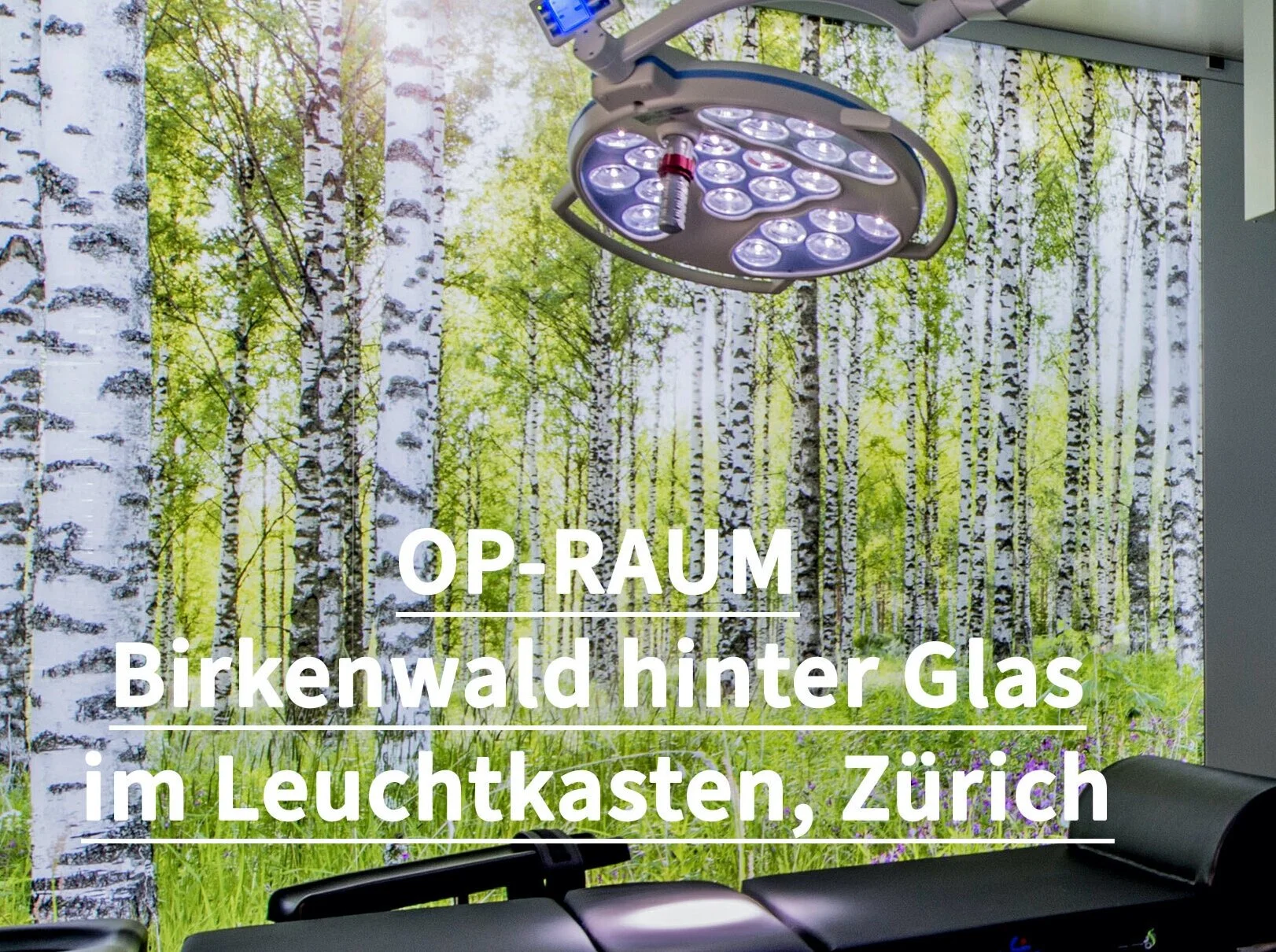OPERATION IM BIRKENWALD