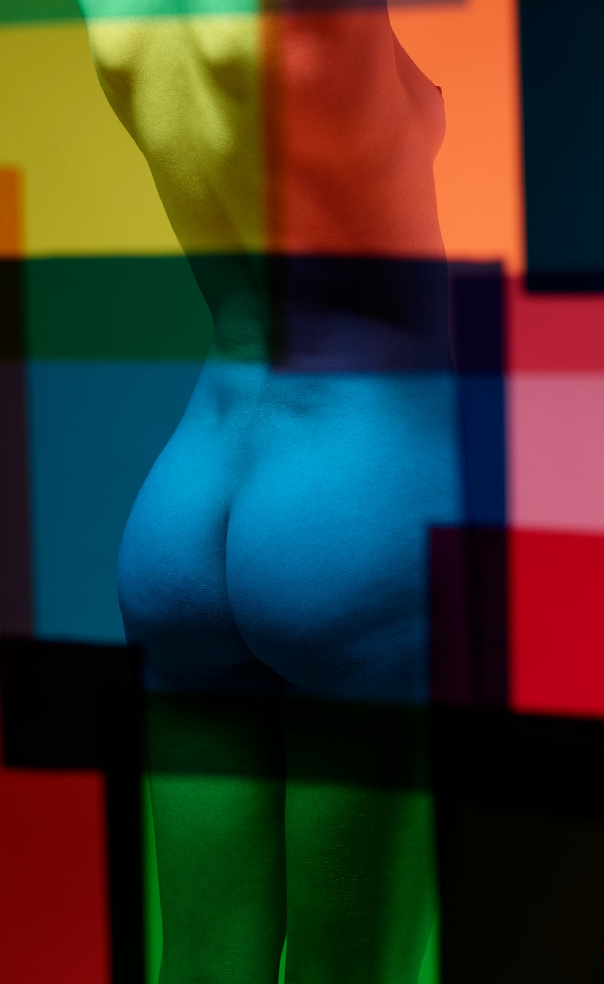 Fine art photography by André Wagner: A rear view is divided into sections by dark horizontal colour fields — Paula XII.