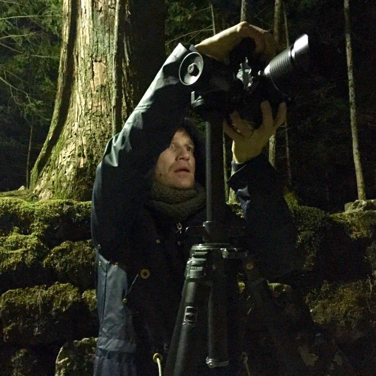 Personne avec du matériel photographique dans une forêt sombre