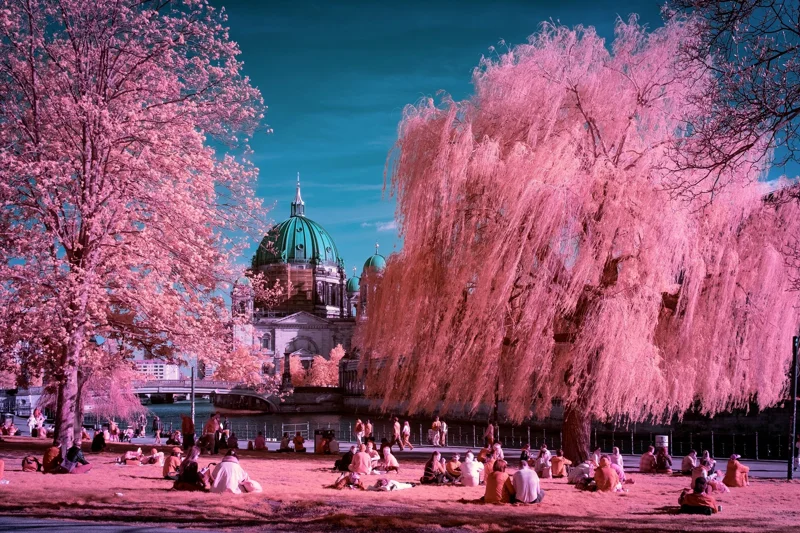 Photographie d’art infrarouge d’André Wagner: Pink Silence at Berliner Dom.