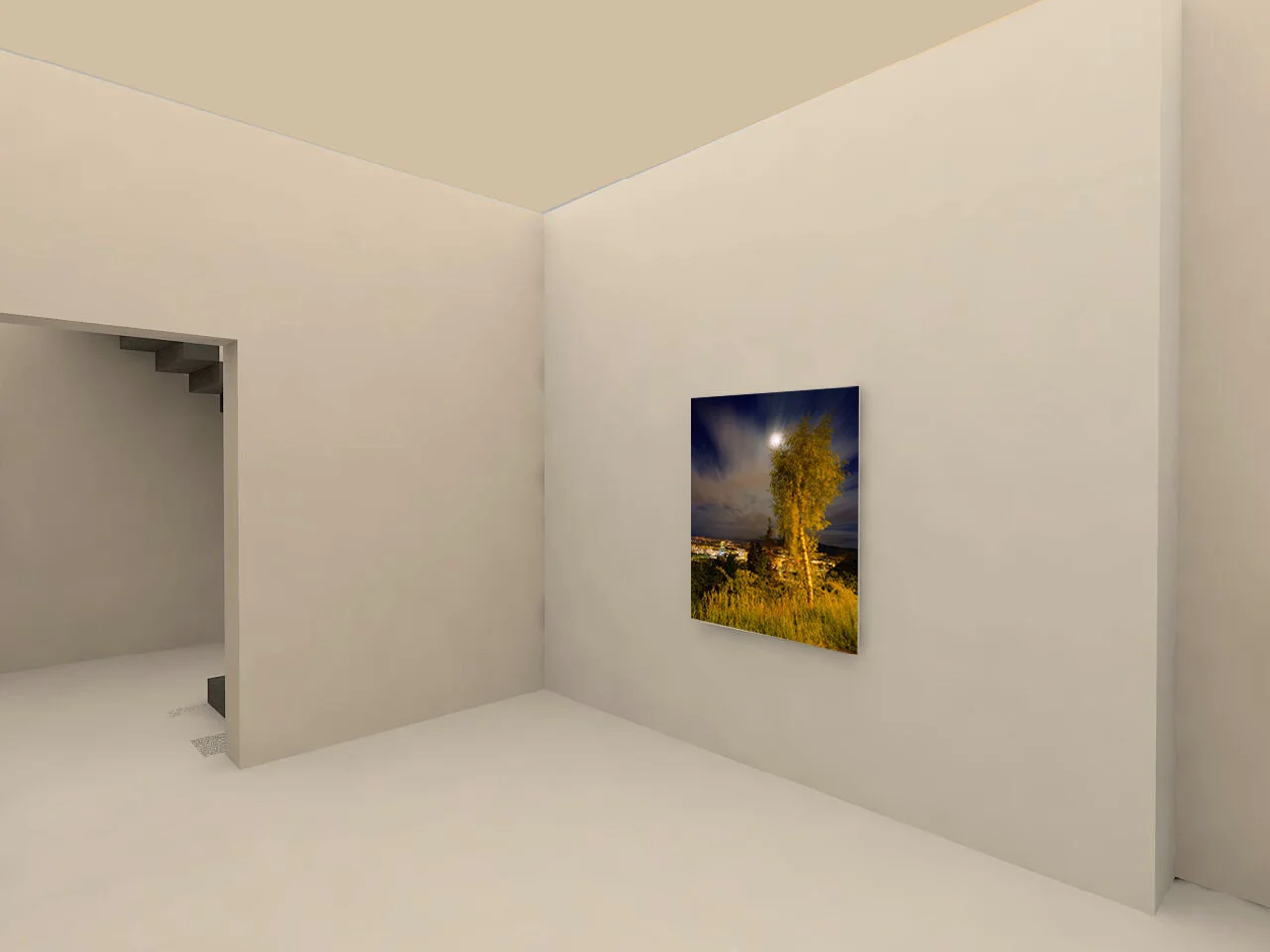 Visualisation d’intérieur avec une petite photographie de paysage nocturne