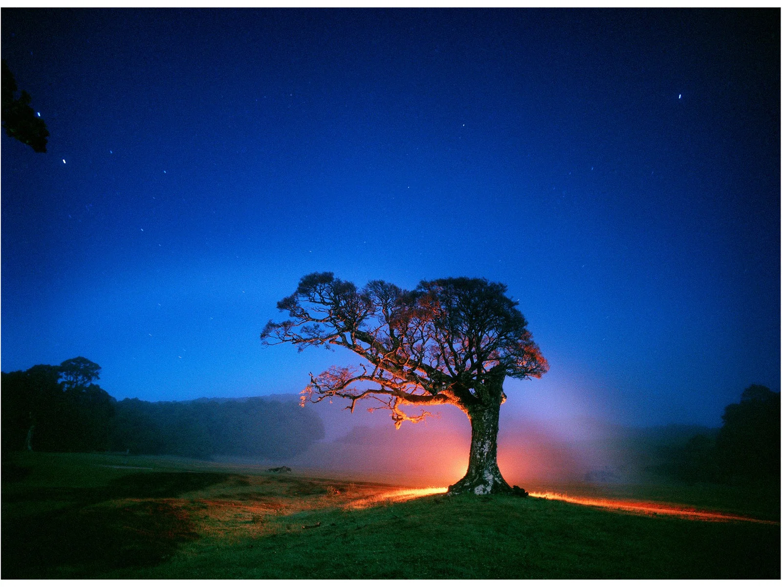 Fotokunst von Andr&eacute; Wagner: Ein einzelner Baum steht auf dunklem Boden unter einem gro&szlig;en blauen Nachthimmel &mdash; Release of energy, Neuseeland.