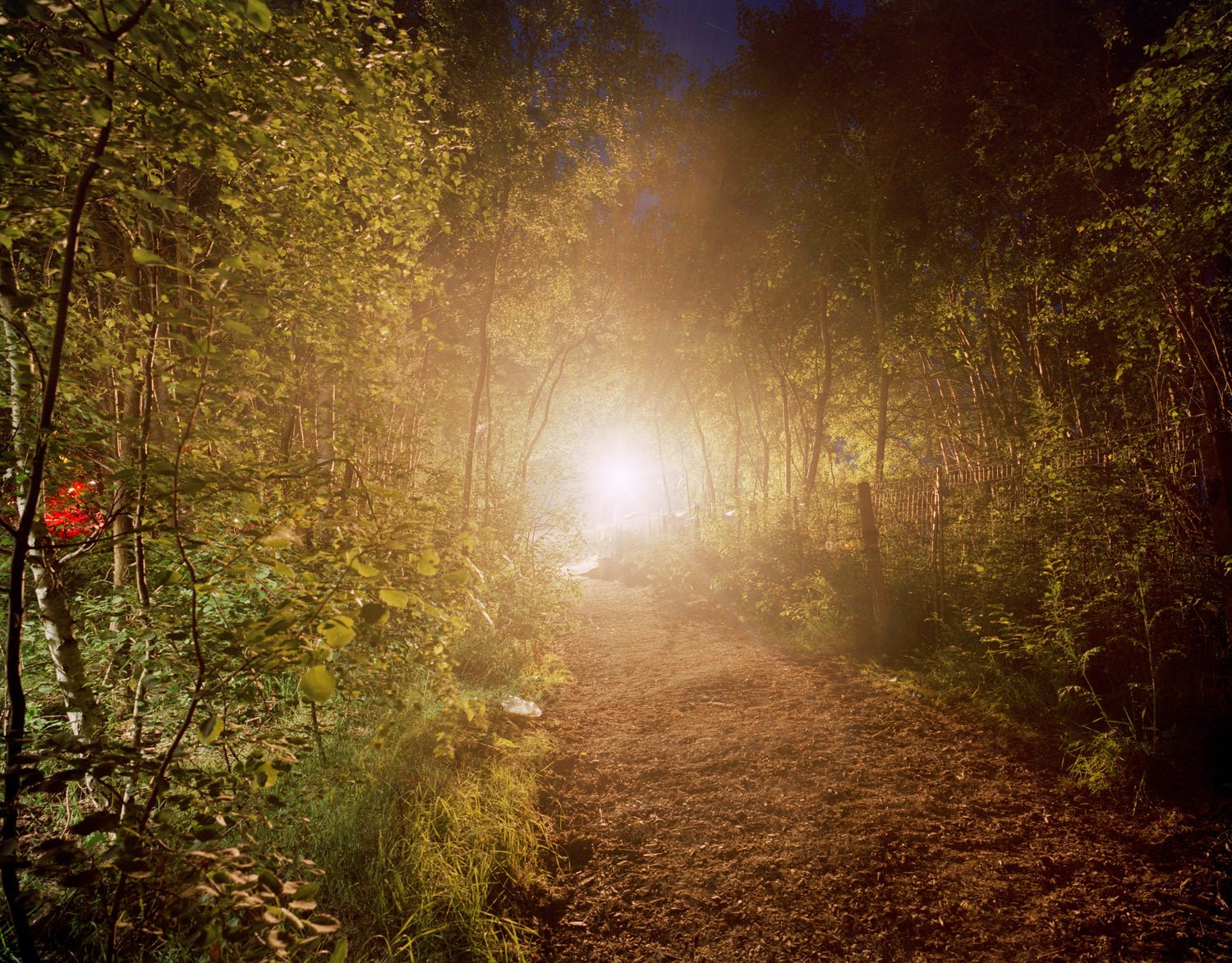 Fine art photography by André Wagner: A narrow woodland path leads towards an intense light — Rescue, Deutschland.