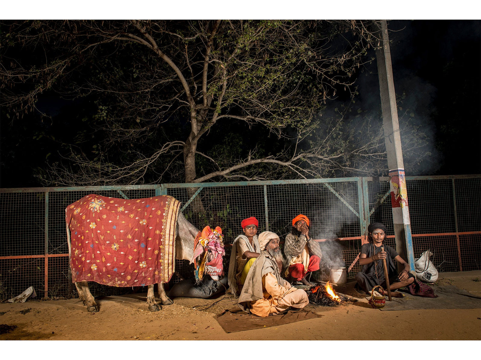 Fine art photography by André Wagner: A small group sits on the ground at night beside a cow — Sadhus with holy cow, Indien.
