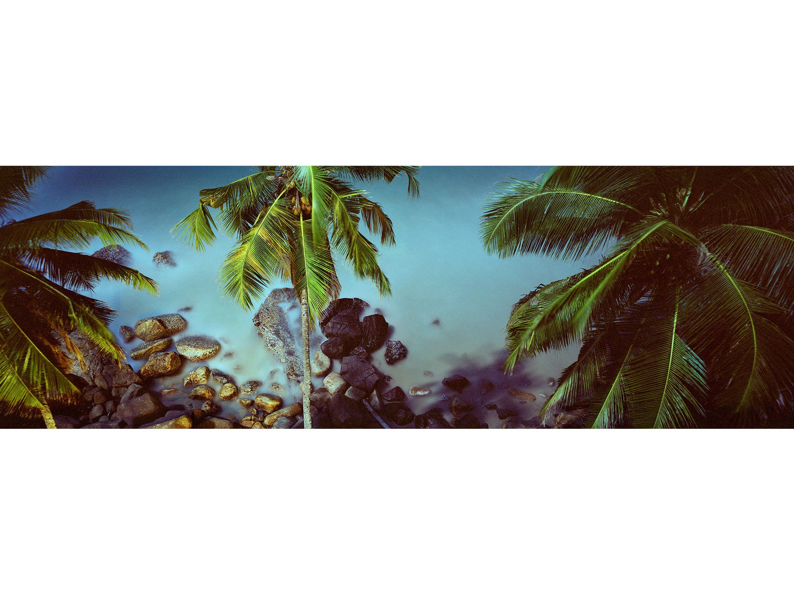 Fine art photography by André Wagner: Palm fronds enter a very wide, narrow frame from both sides — Sex on the beach, Indien.