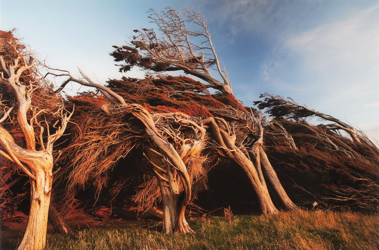 Photographie d’art d’André Wagner: Slope point 1, Neuseeland.