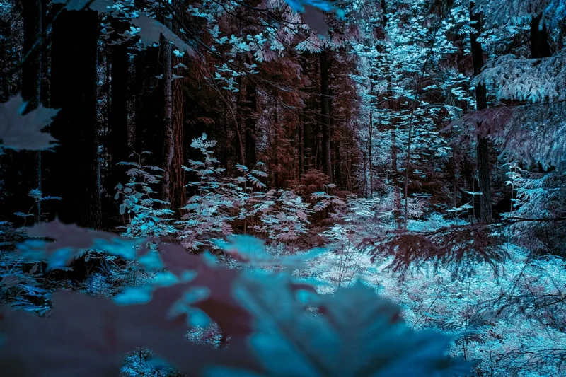 Photographie d’art infrarouge d’André Wagner: Stillness in Helsinki.