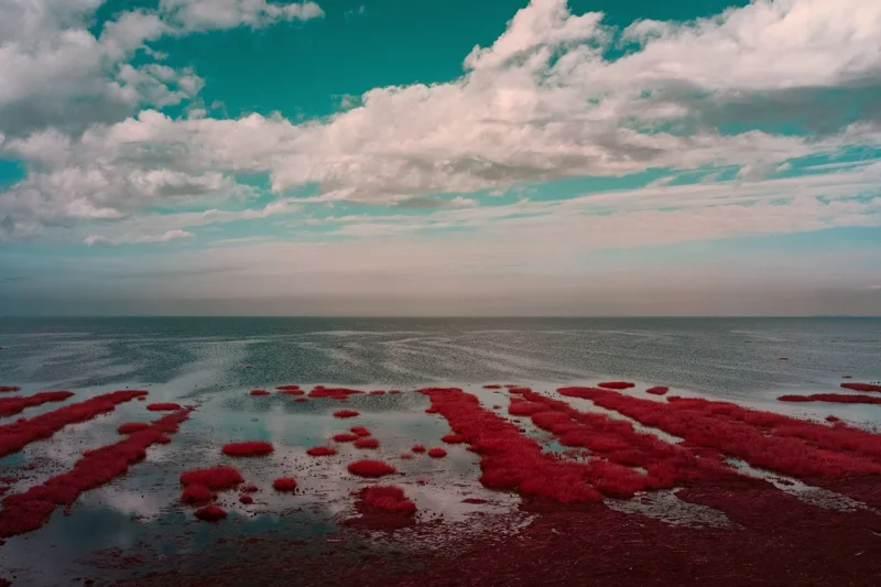 Photographie d’art infrarouge d’André Wagner: Sylt: Where the Sea Touches the Spirit.