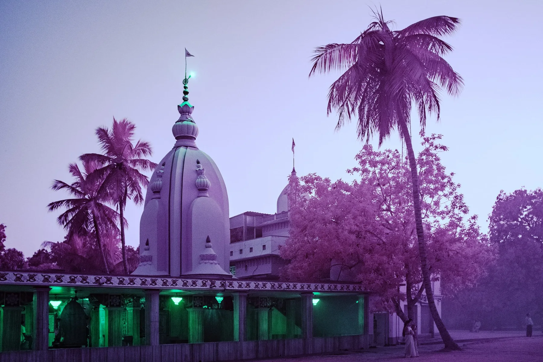Bâtiment de temple et palmiers aux couleurs infrarouges violettes.