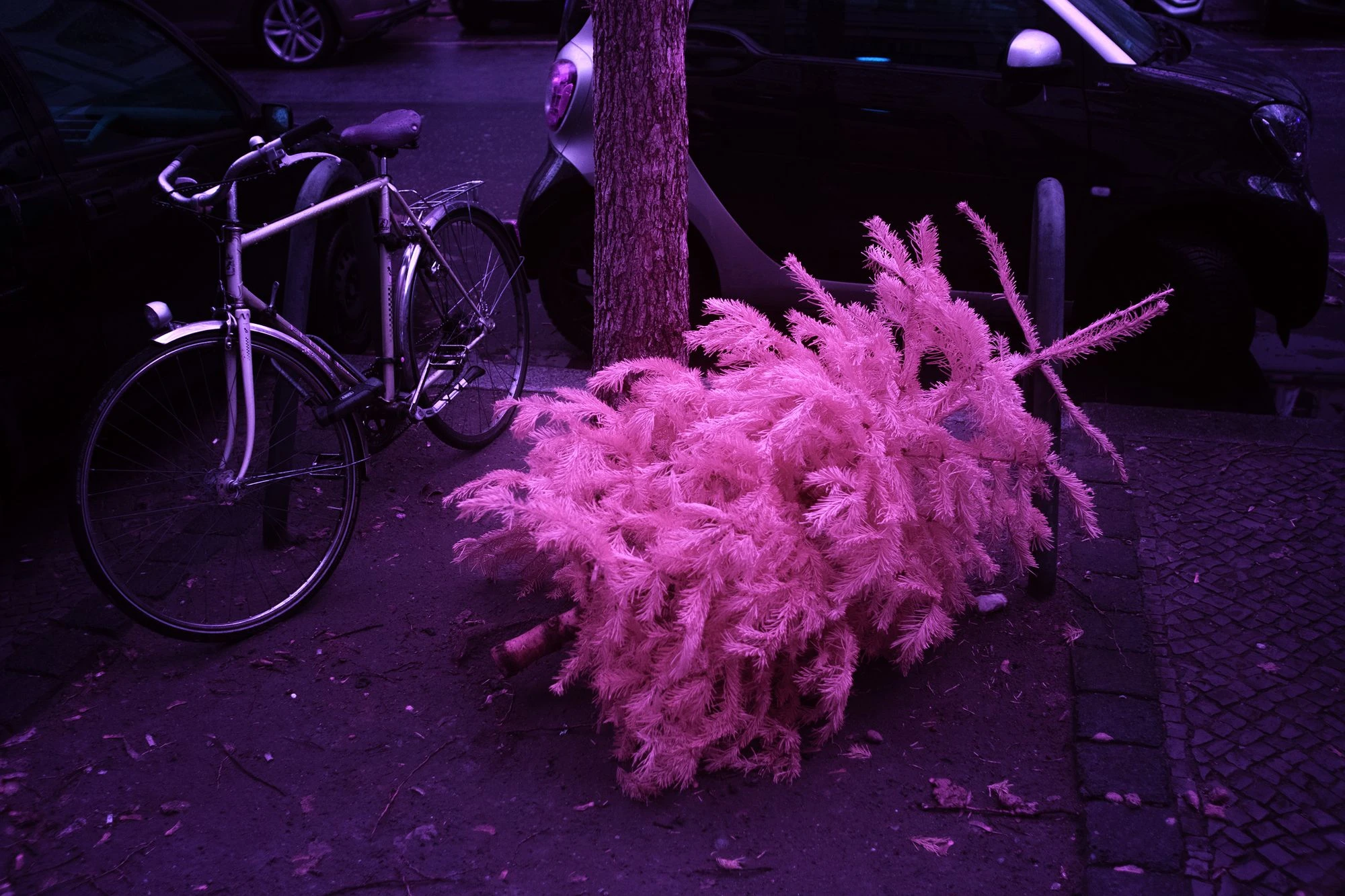 Photographie d’art infrarouge d’André Wagner: The Day the Tree Refused to Leave.