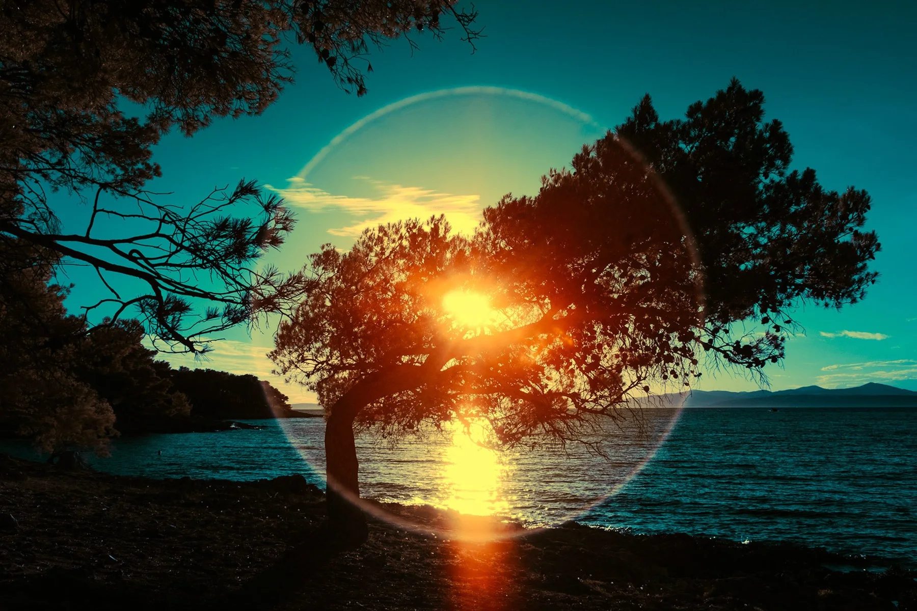 Le soleil bas traverse un arbre au bord de l’eau ; un cercle lumineux se superpose à la scène.