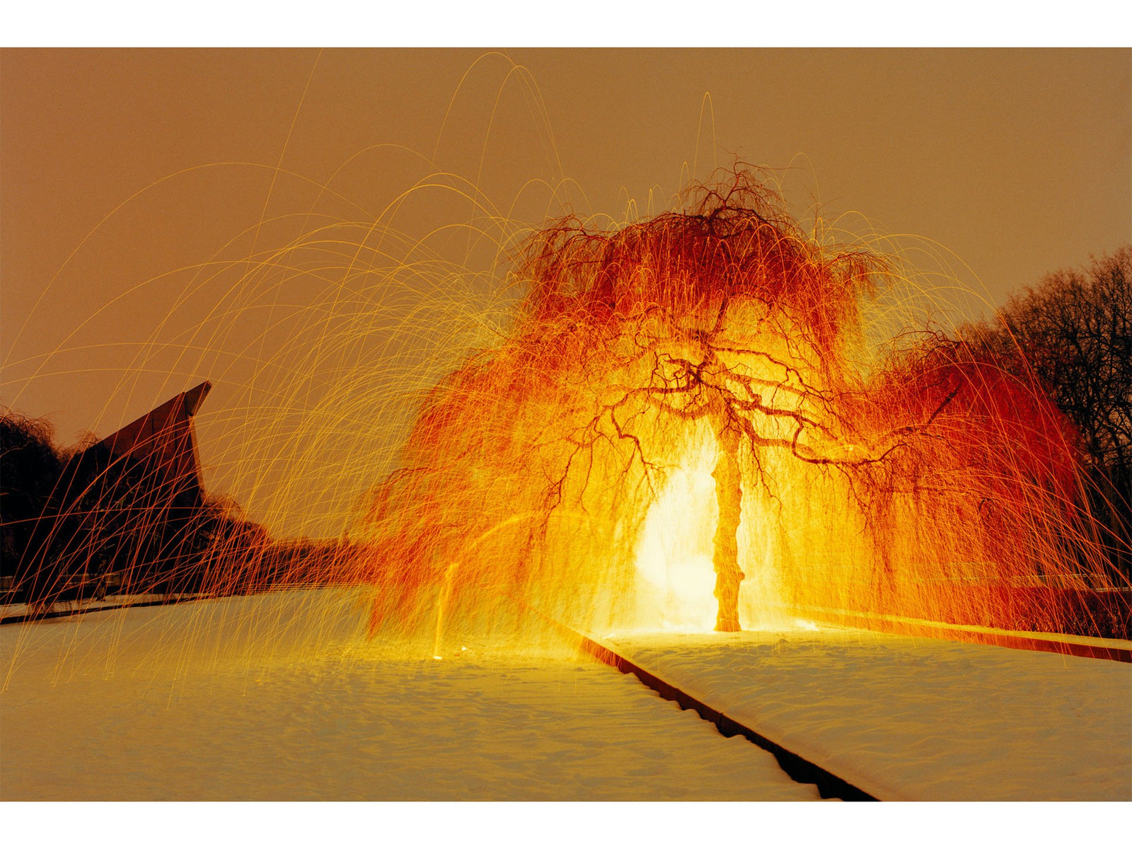 Photographie d’art d’André Wagner: Un arbre aux longues branches retombantes se dresse dans un paysage enneigé — Treptower park, Deutschland.